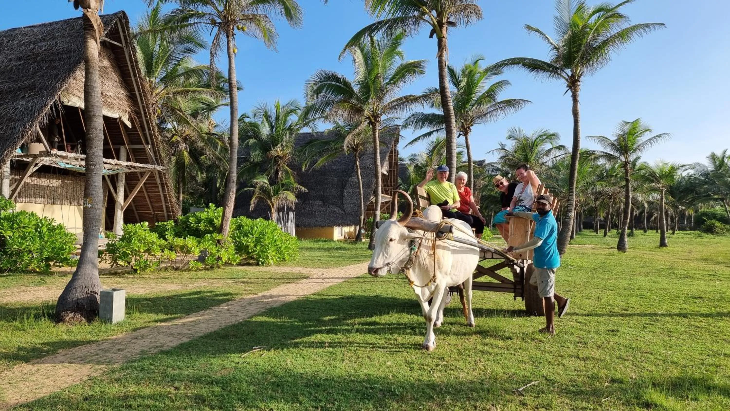 Activities in Elements Beach & Nature Resort