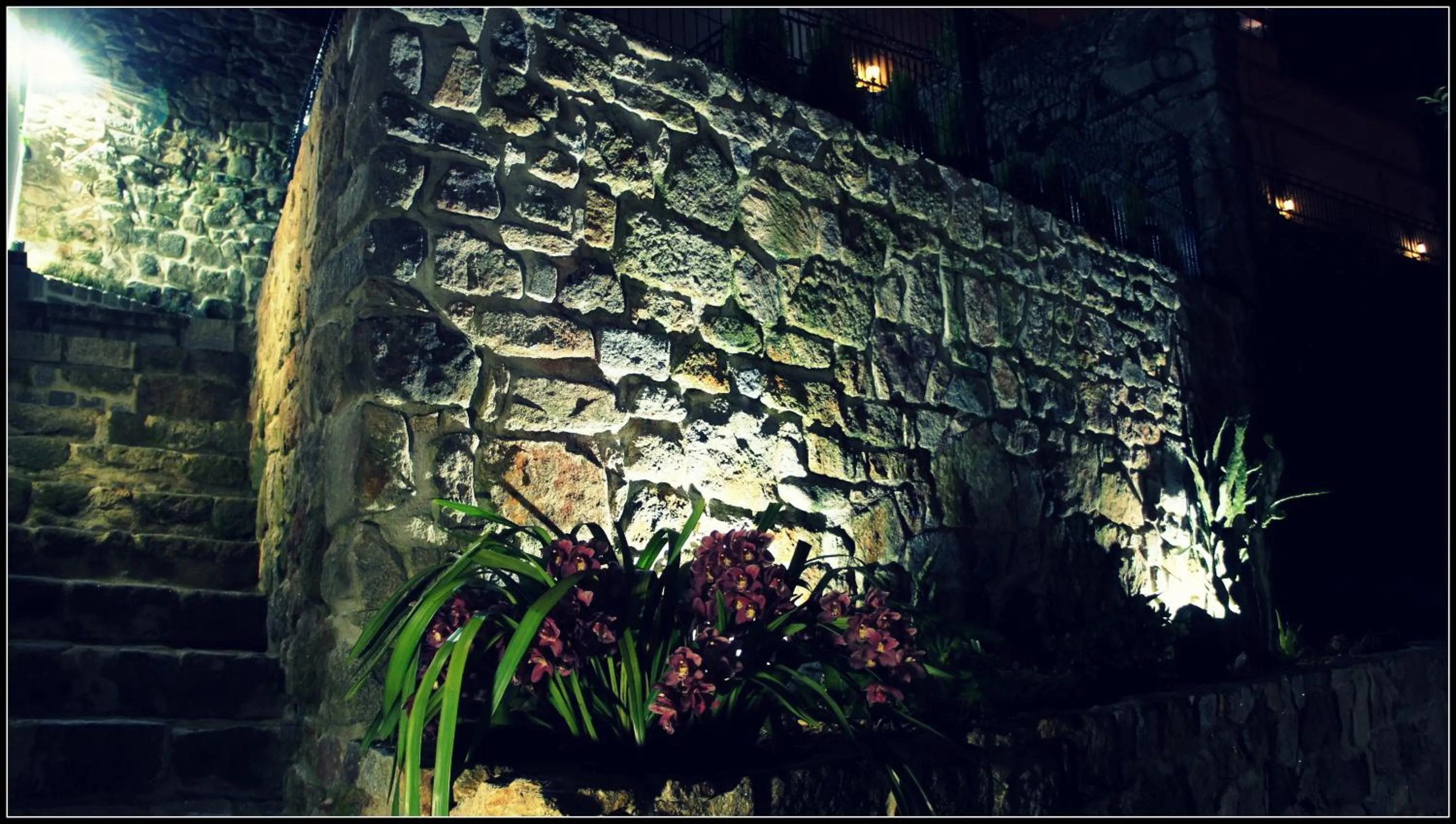 Spring in Hostel Gaia Porto