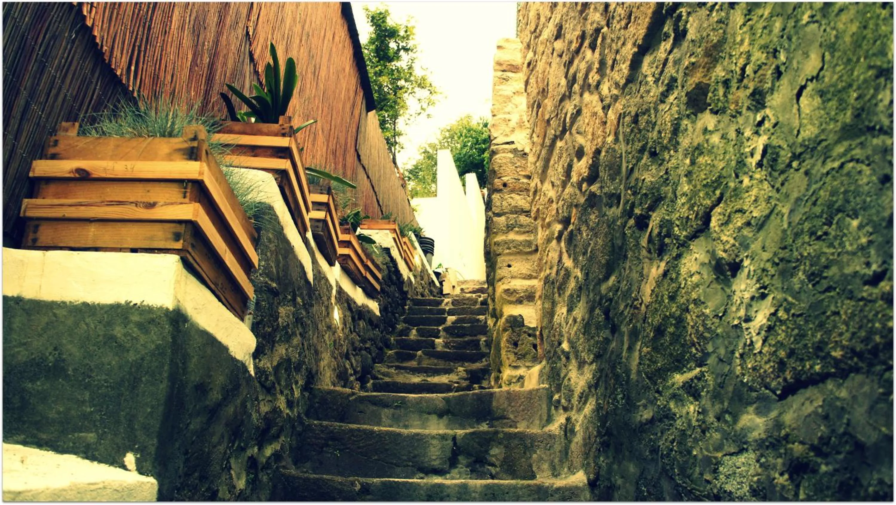 Day in Hostel Gaia Porto