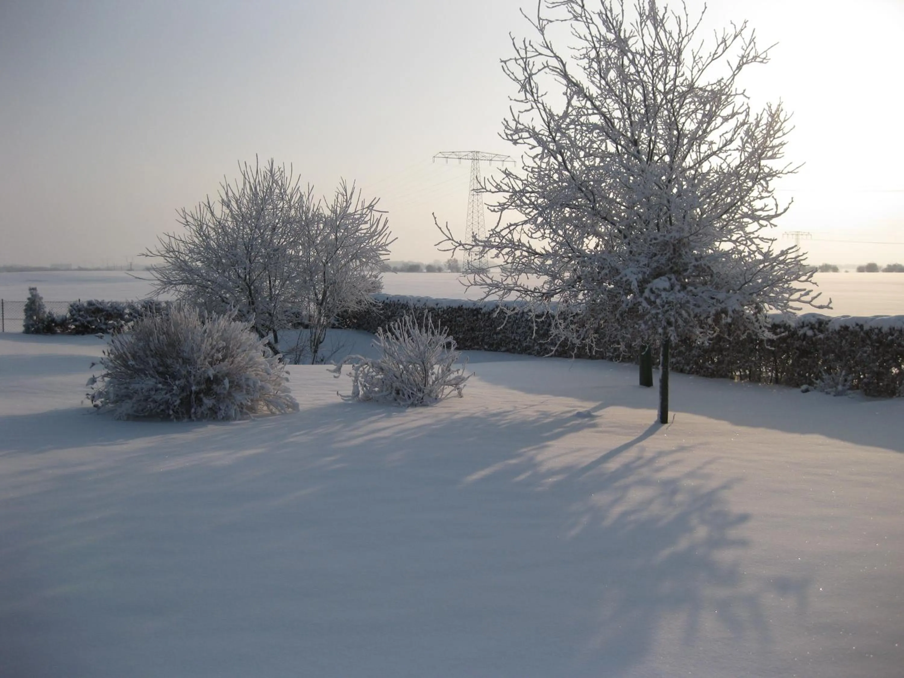 View (from property/room) in Hotel Pommernland