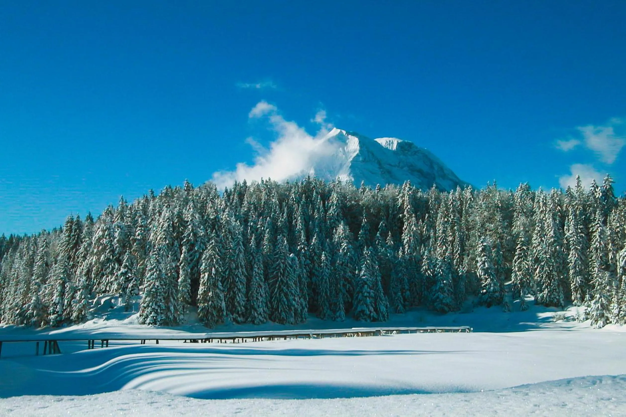 Area and facilities in Hotel Hochland