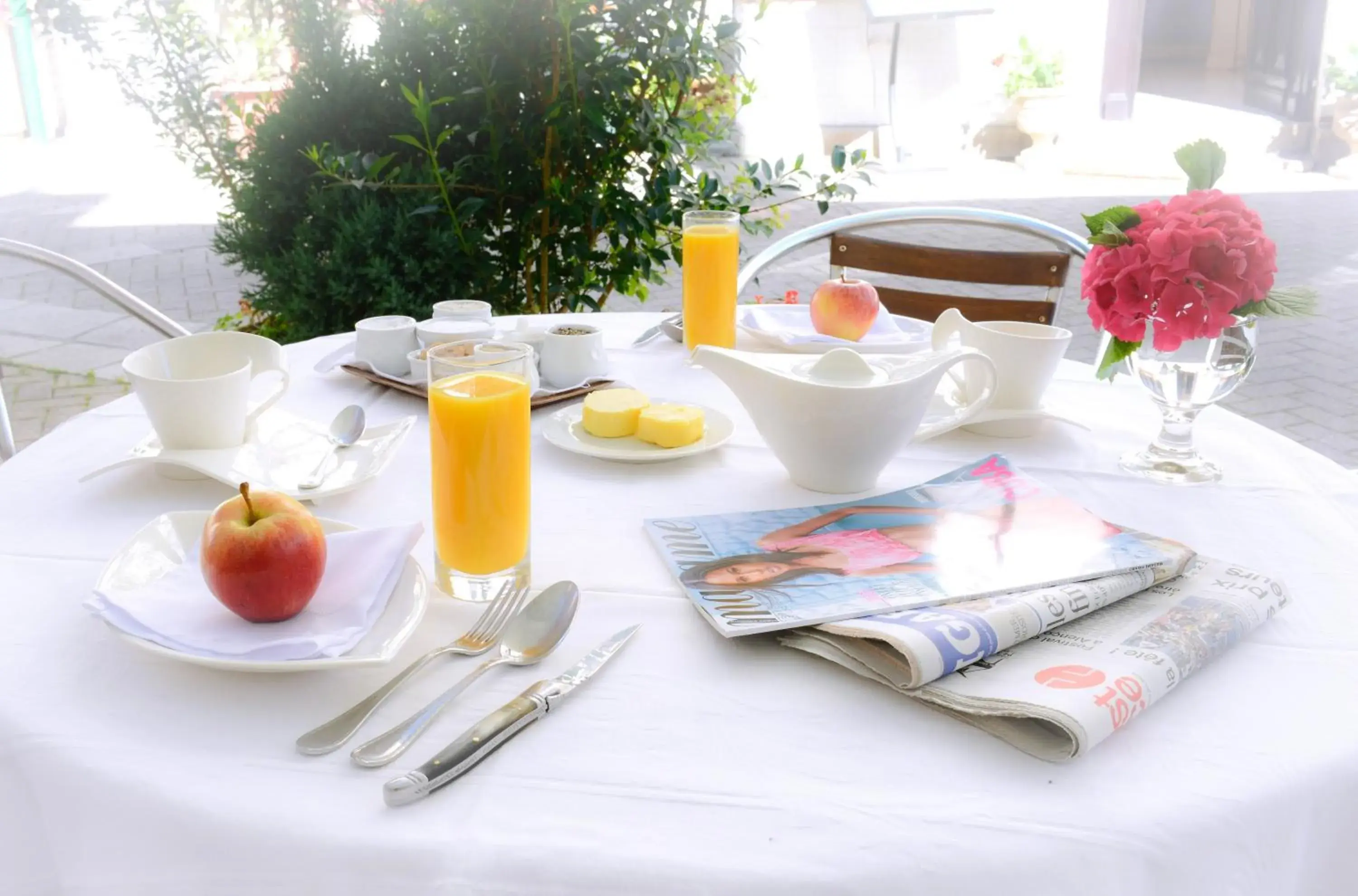 Logis Hôtel et Restaurant du Dauphin Logis Hôtel et Restaurant du Dauphin