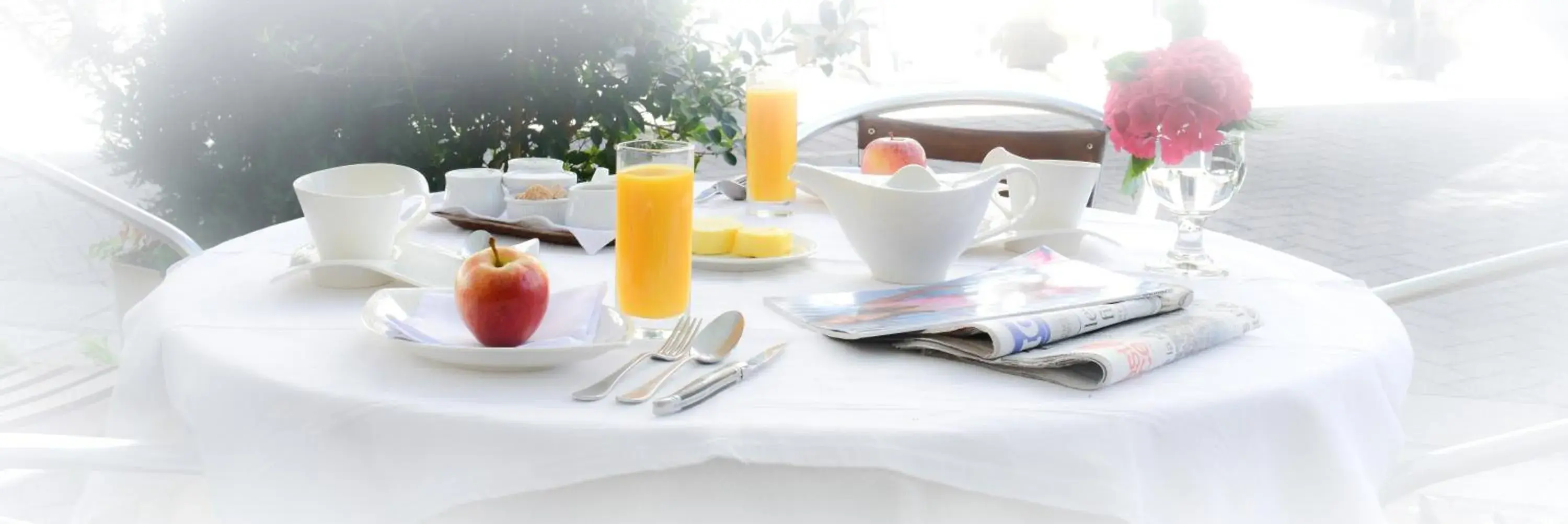 Logis Hôtel et Restaurant du Dauphin Logis Hôtel et Restaurant du Dauphin