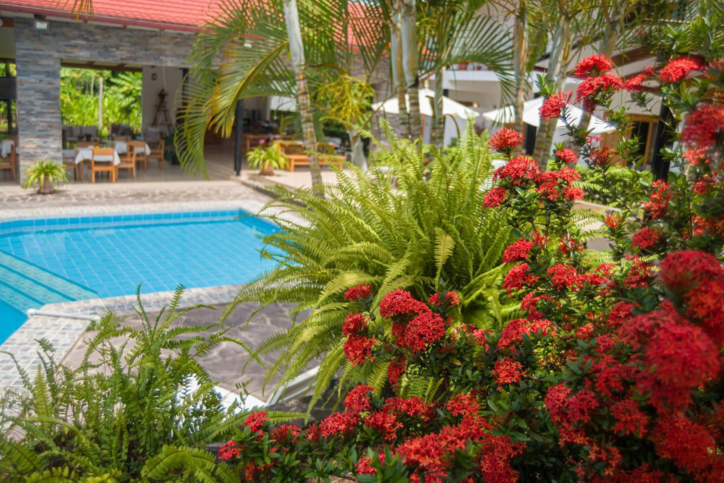 Garden in Colina de Montalva Casa Hotel