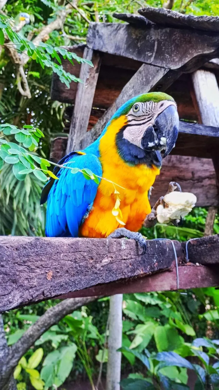 Animals in Colina de Montalva Casa Hotel