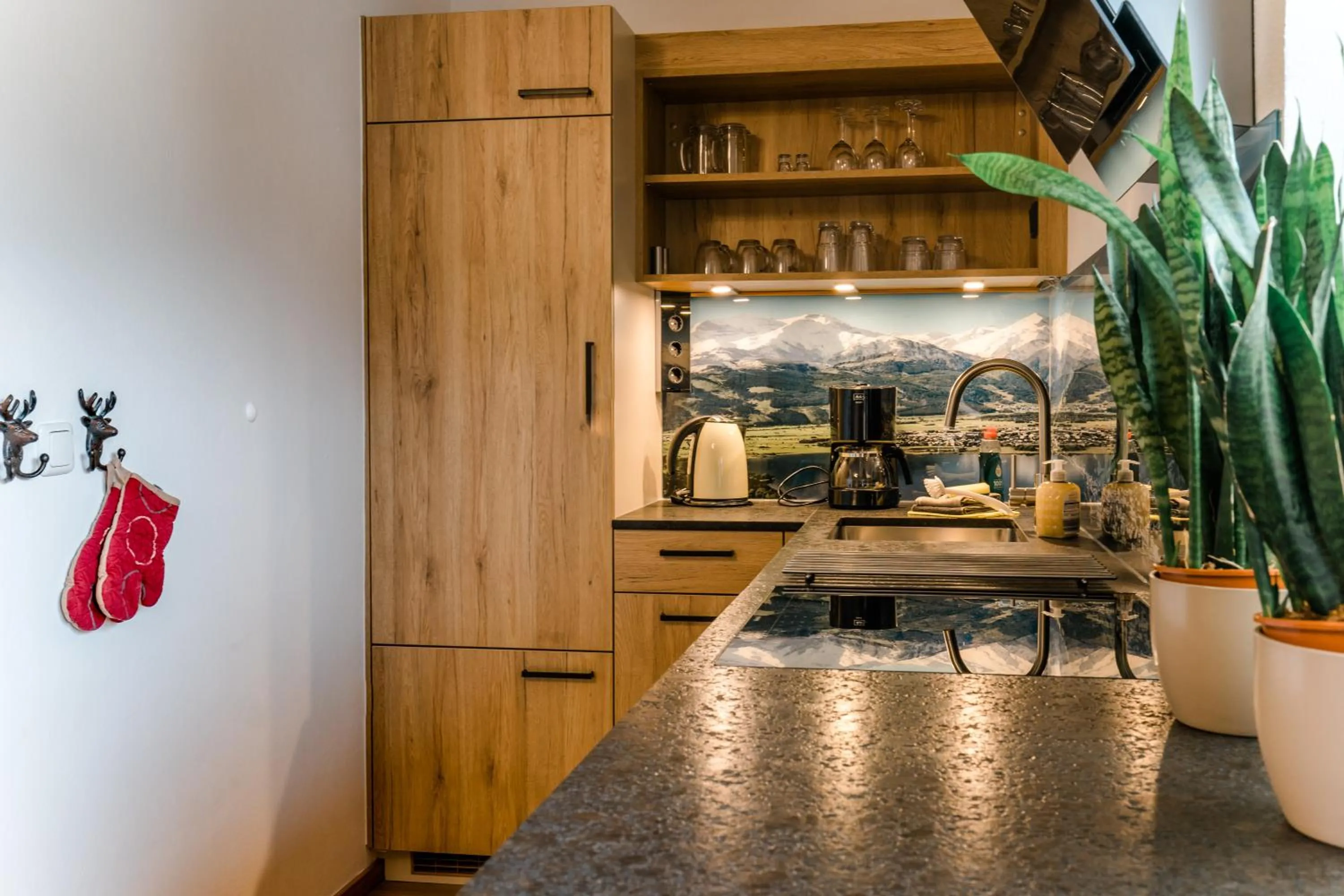 Kitchen or kitchenette in Alm Appartements ZellamSee