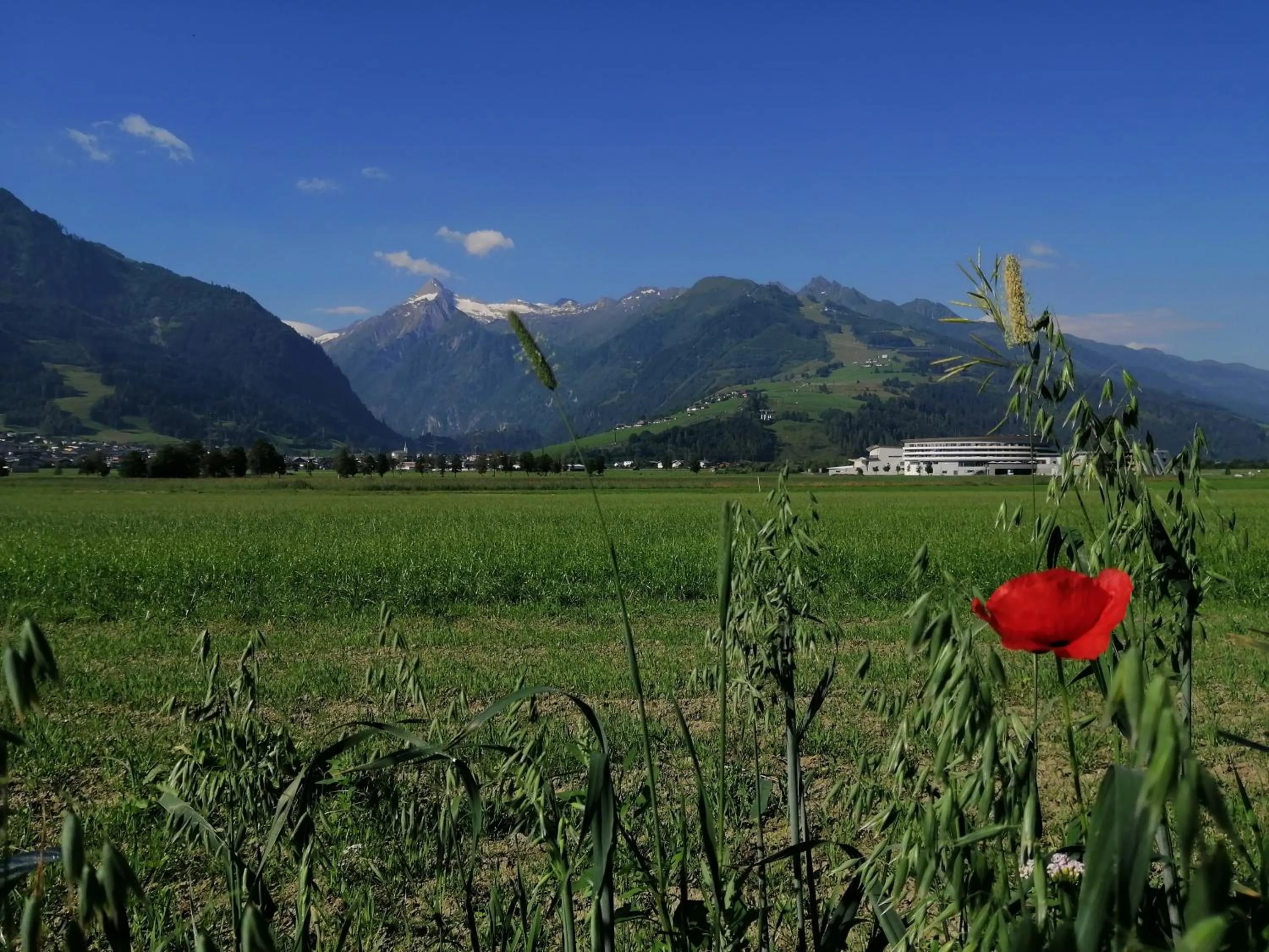 Other in Alm Appartements ZellamSee
