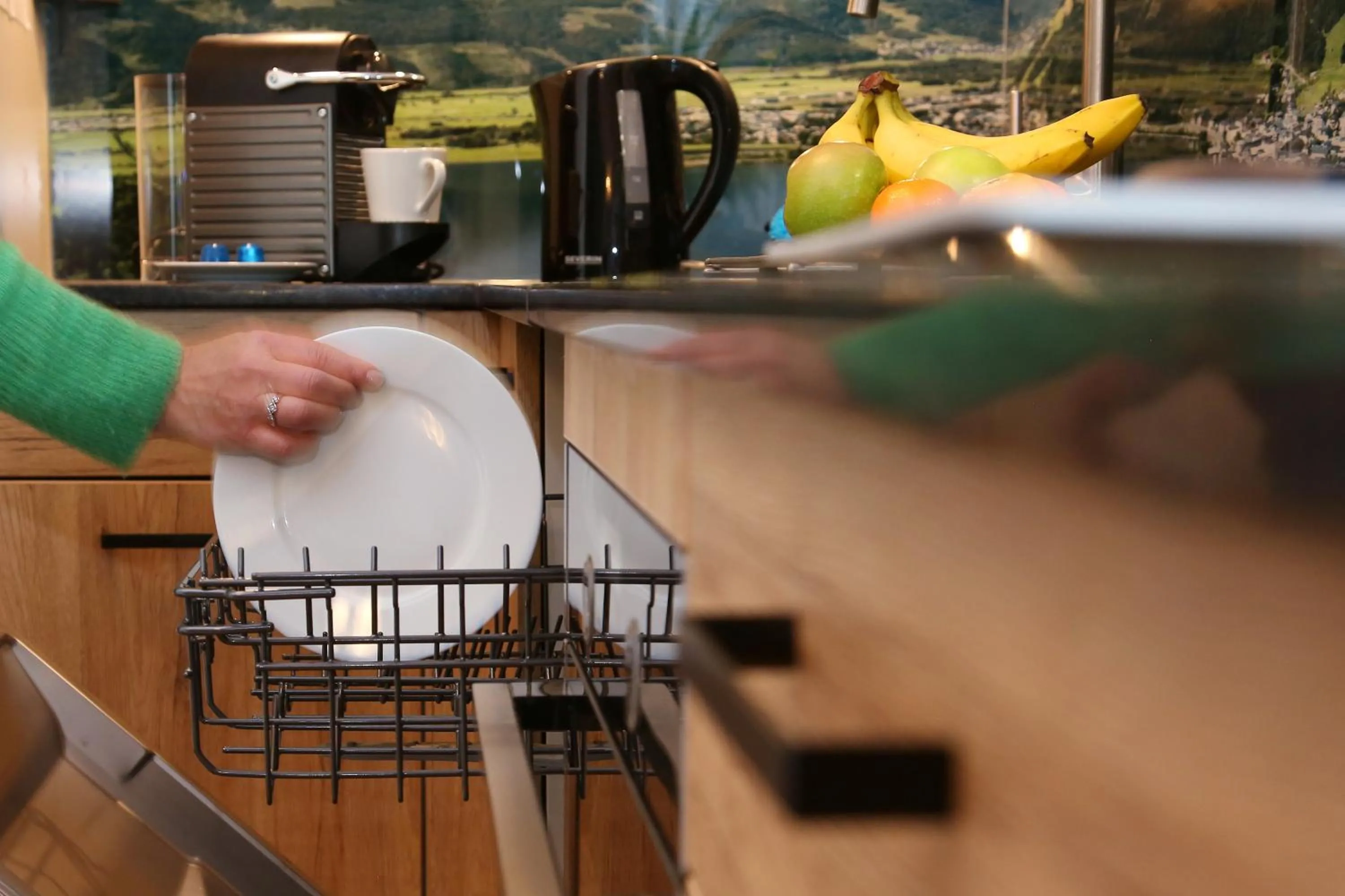 dishwasher in Alm Appartements ZellamSee