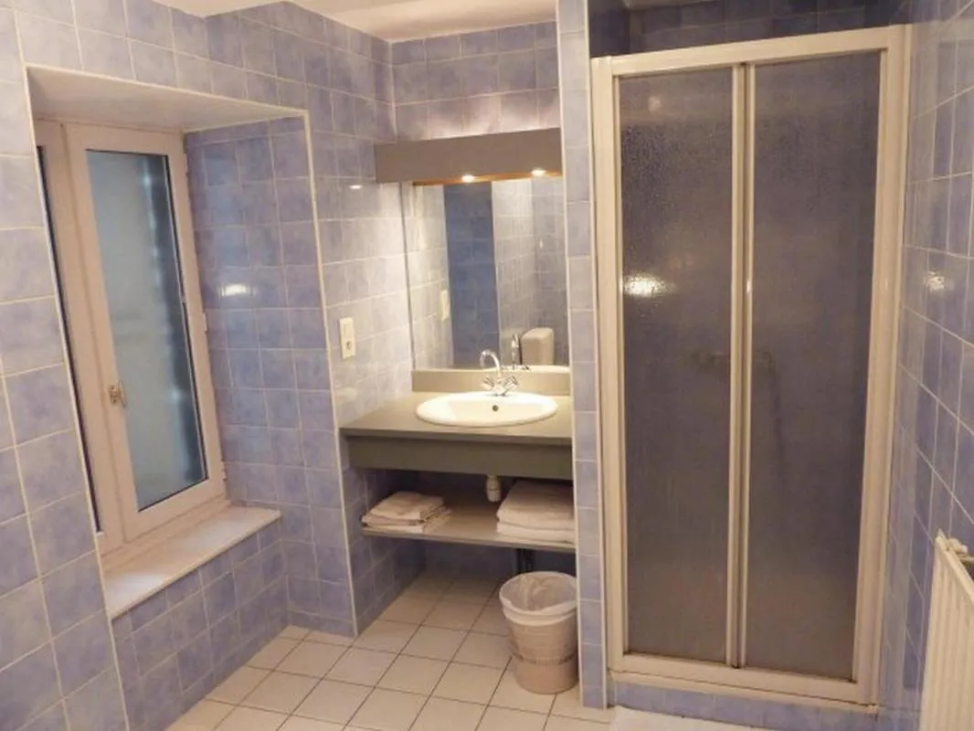 Shower in Hôtel Restaurant du Pont-Vieux