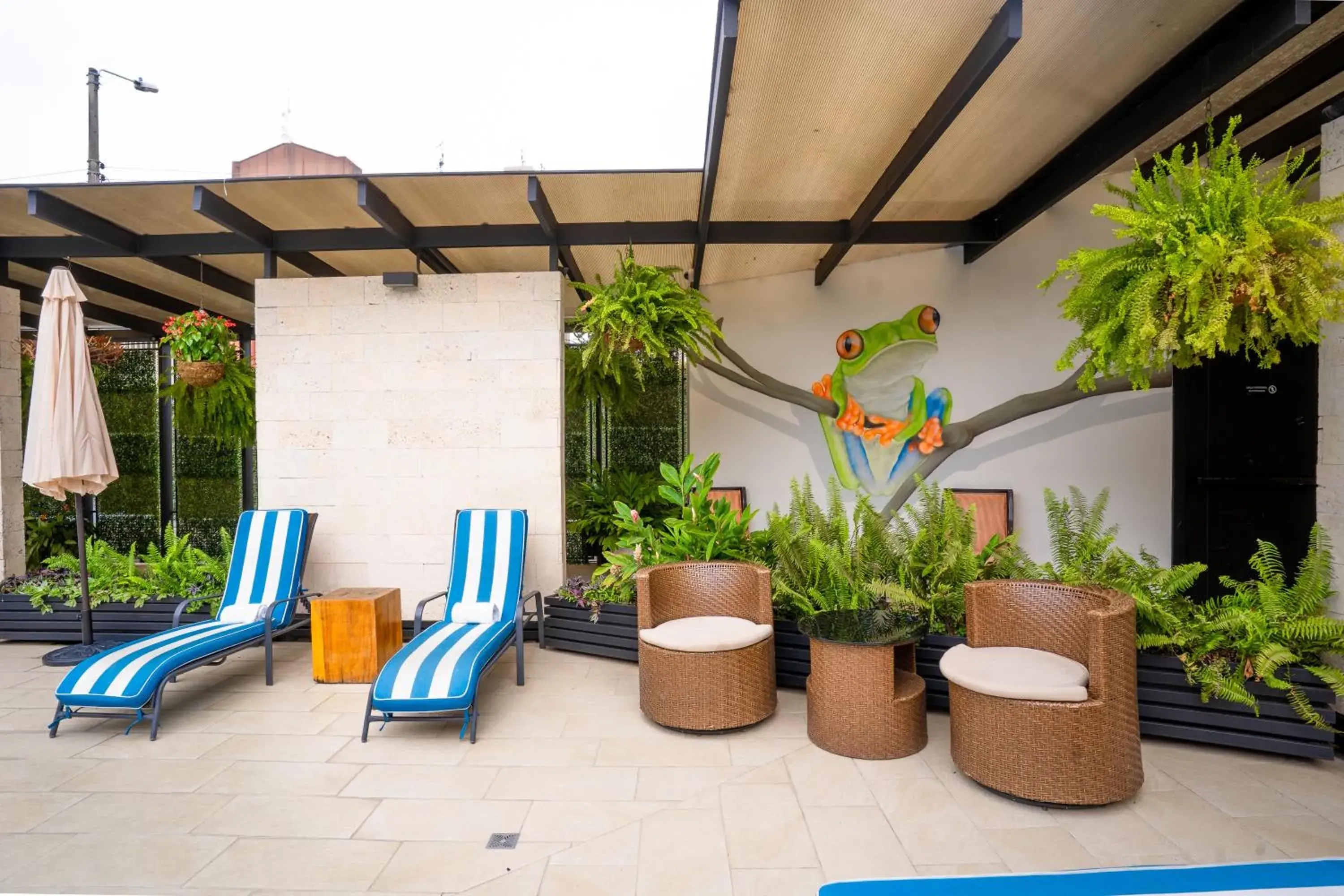 sunbed in KC Hotel San Jose sunbed in KC Hotel San Jose