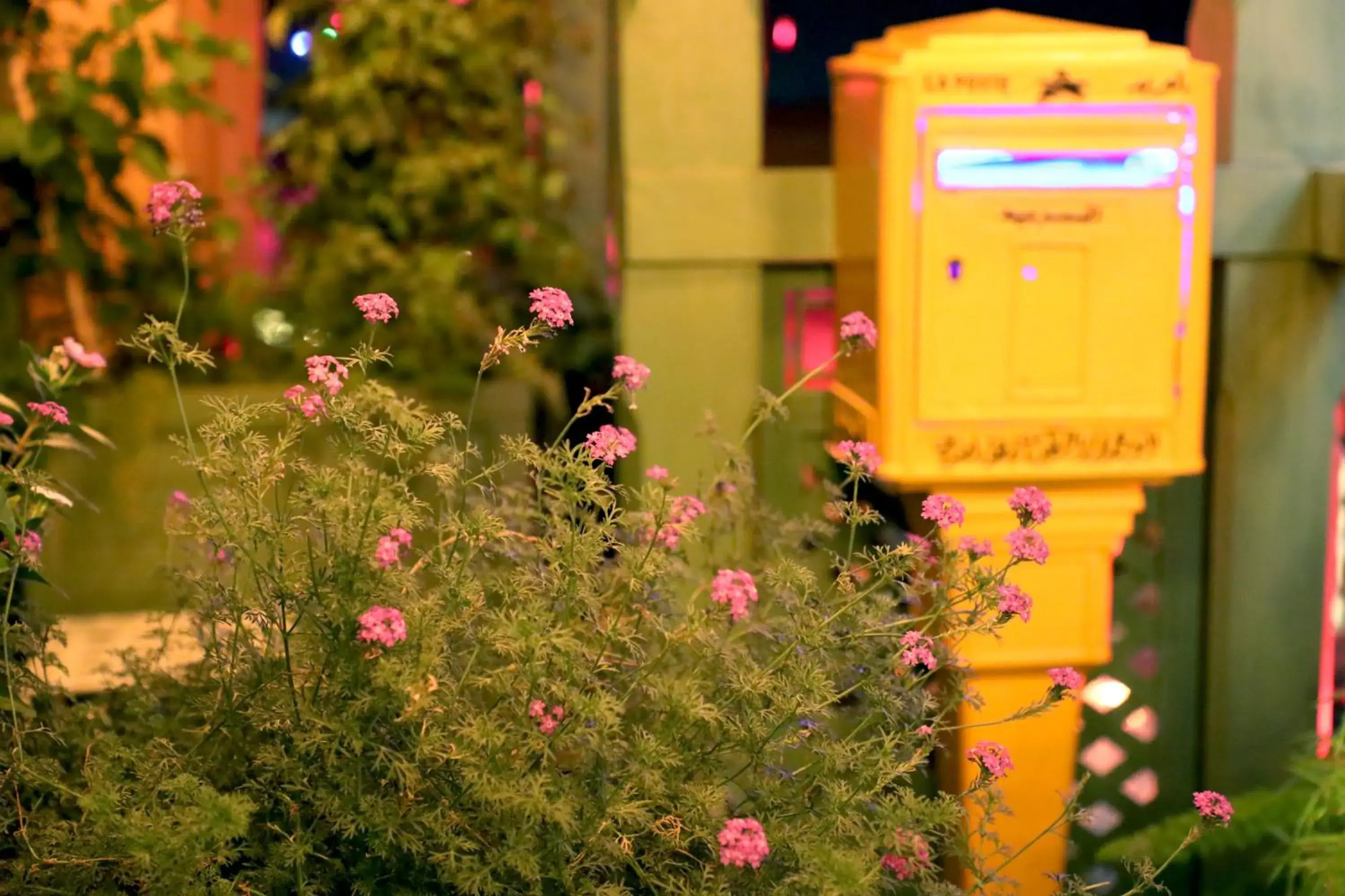 Restaurant/places to eat in Riad Monceau Restaurant/places to eat in Riad Monceau