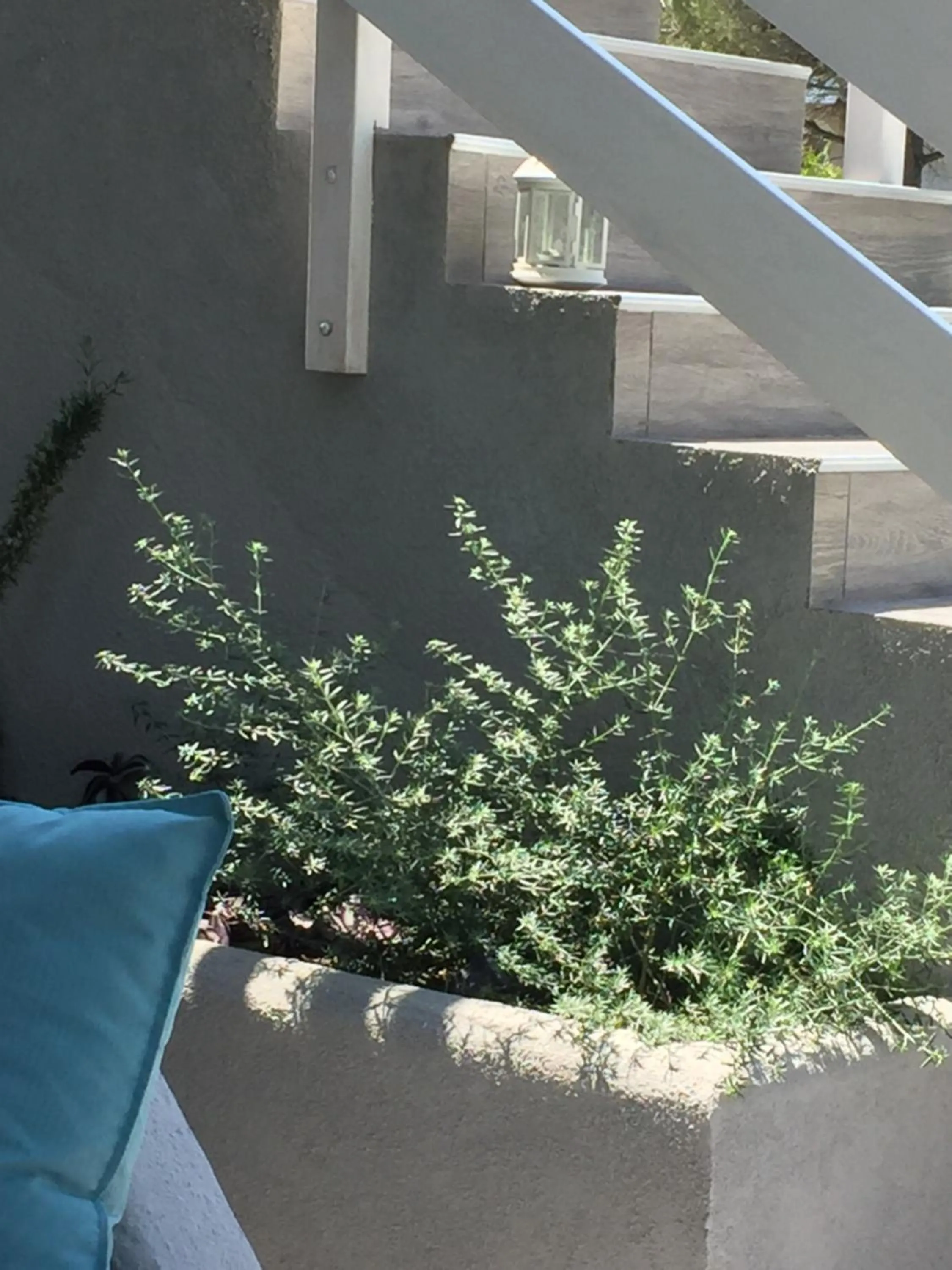 Decorative detail in Ananda Homes