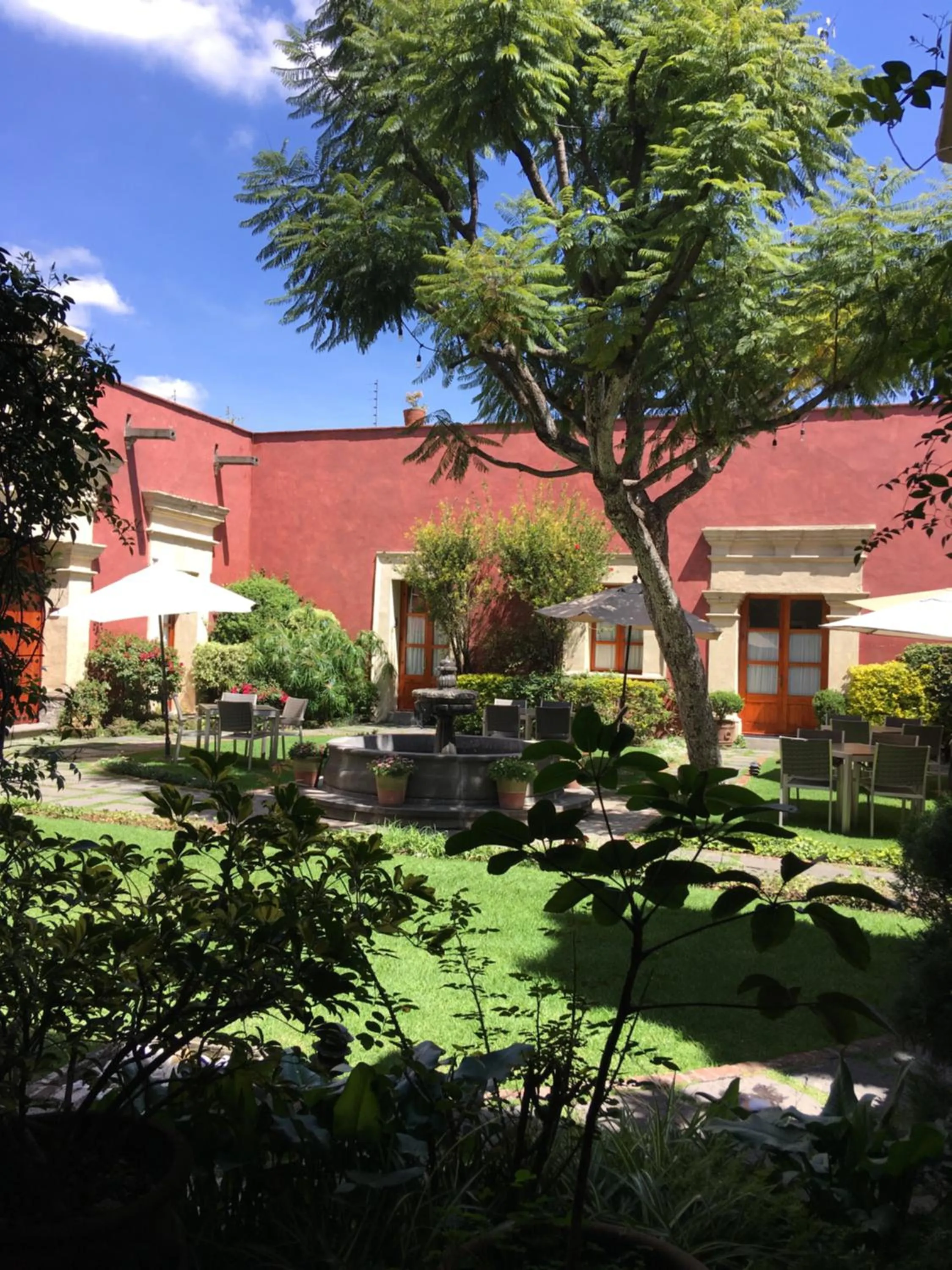 Garden in Quinta Luna