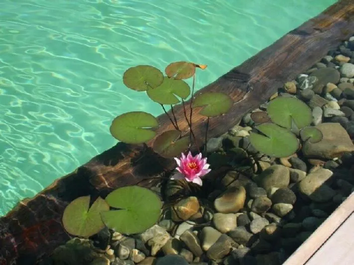 Property building in Chambres d'hotes Coeur de Sundgau