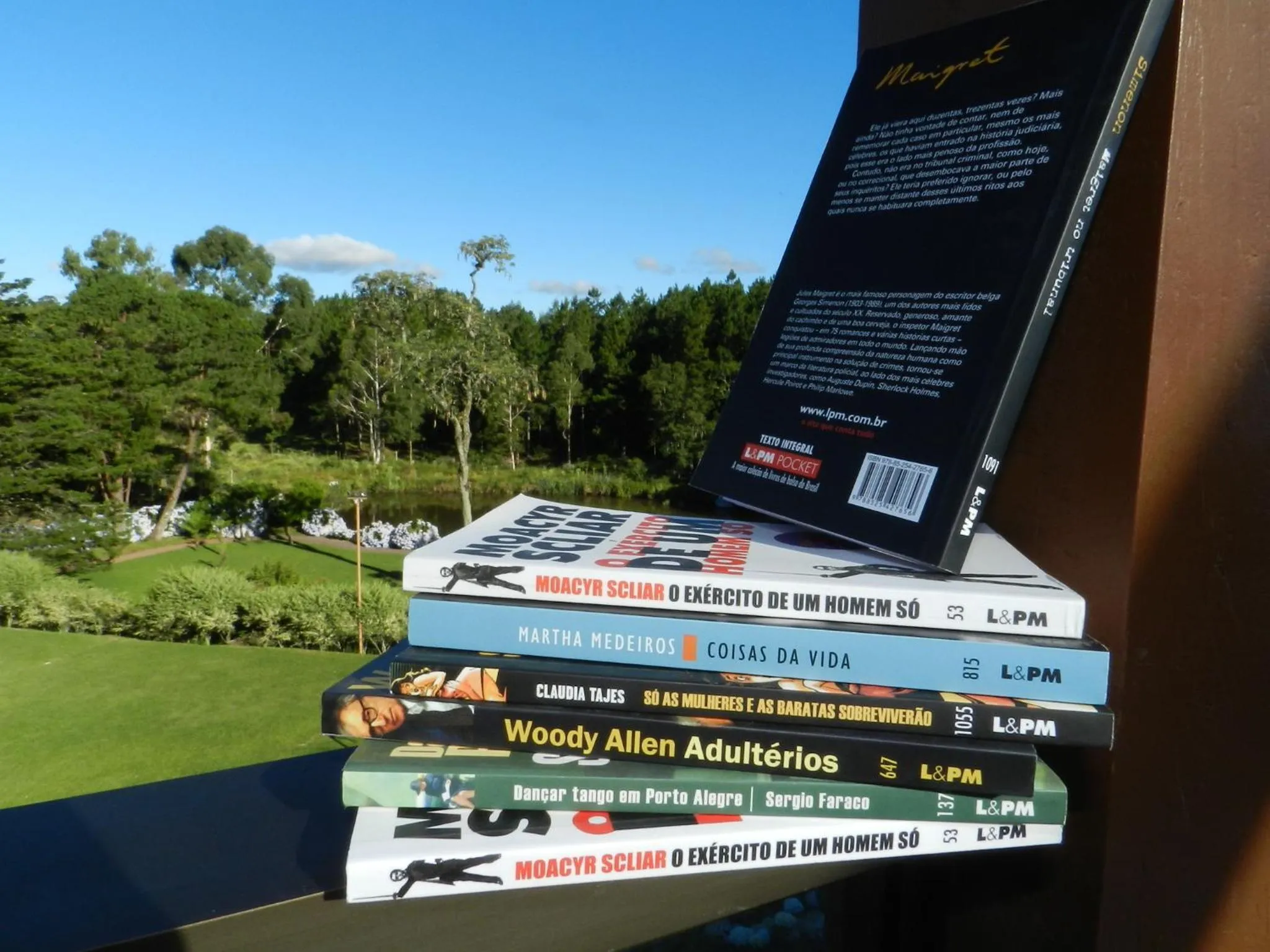 Library in Hotel Bangalôs da Serra