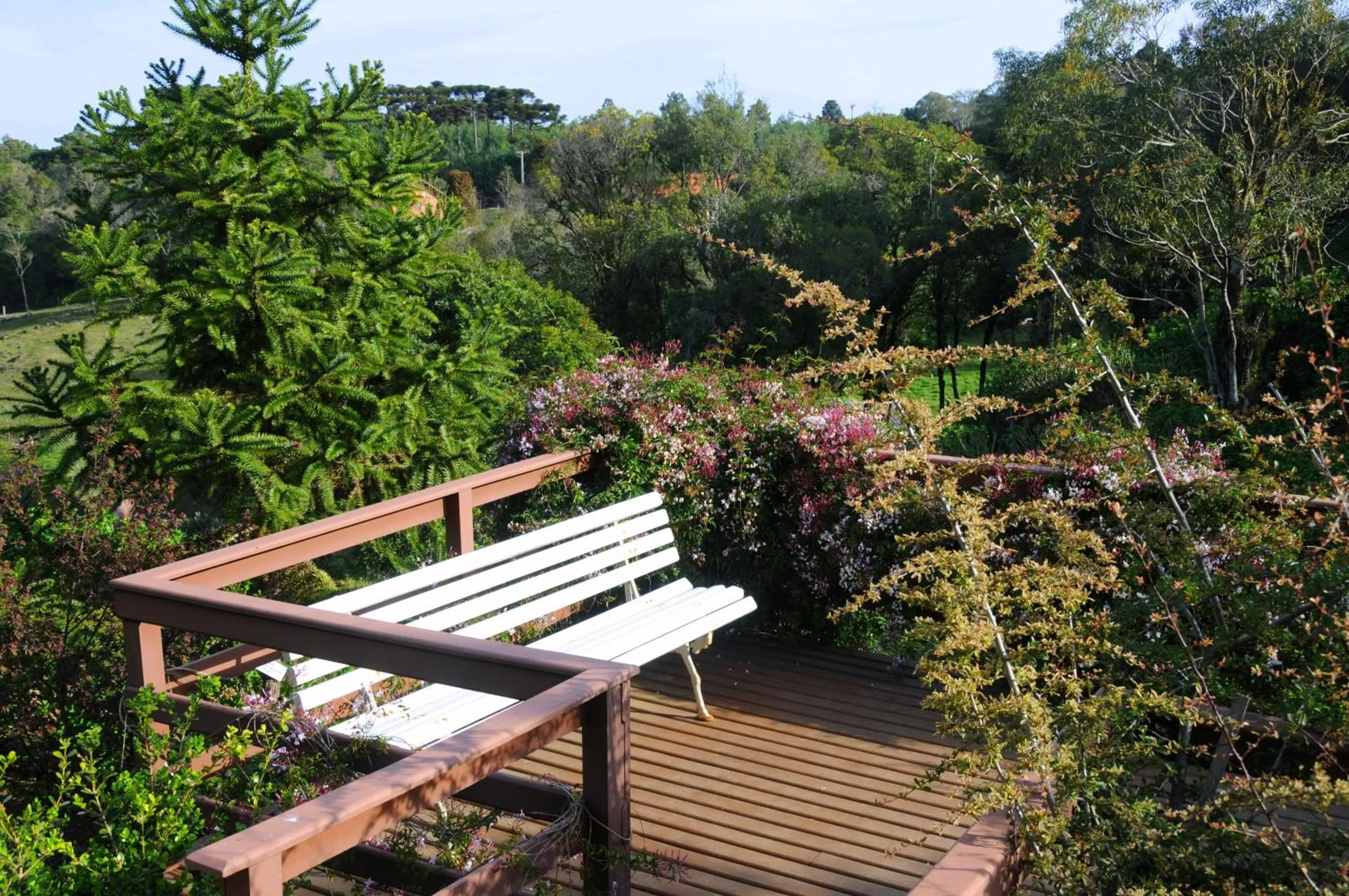 Balcony/Terrace in Hotel Bangalôs da Serra