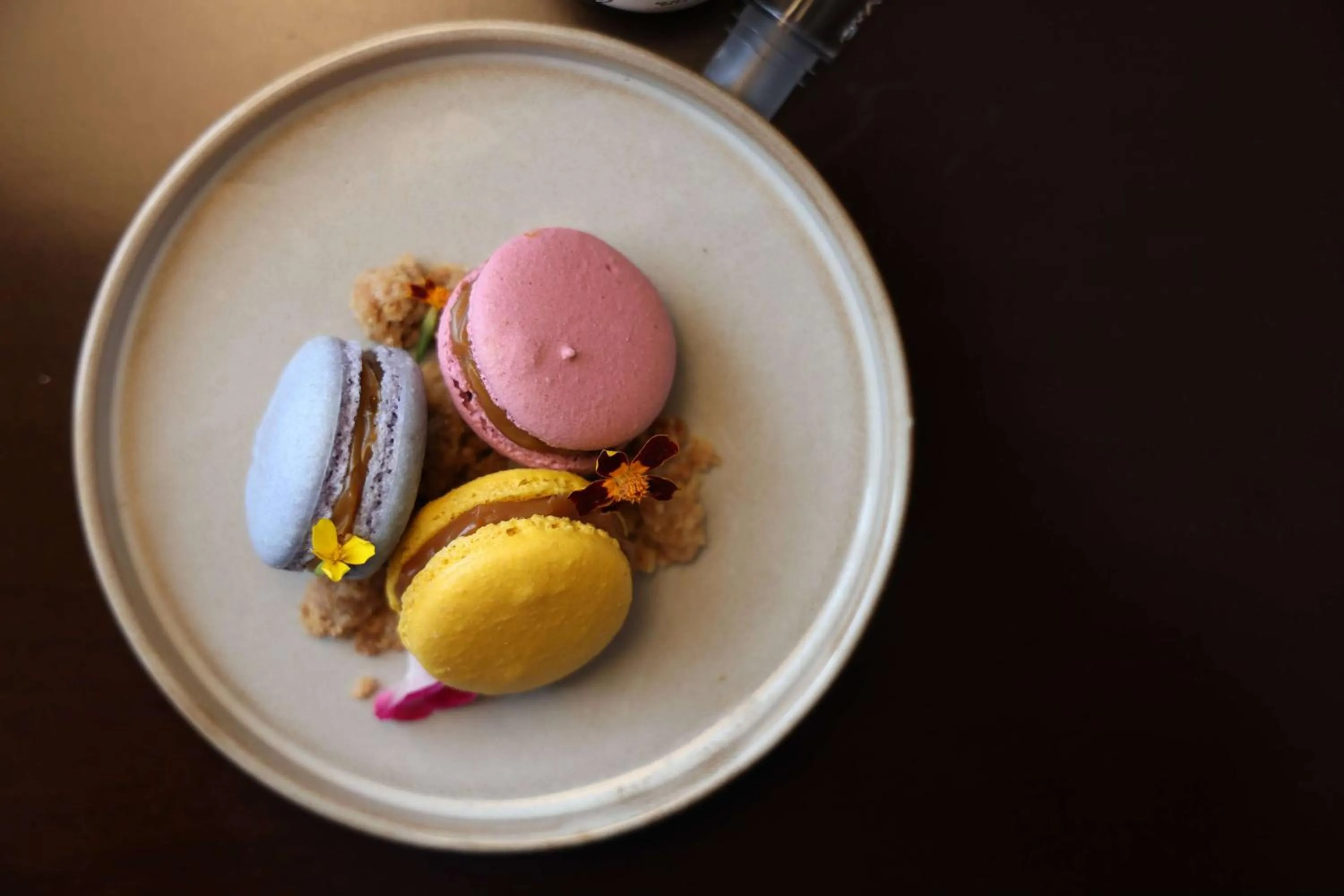 Restaurant/places to eat in Bristol Panama, a Registry Collection Hotel