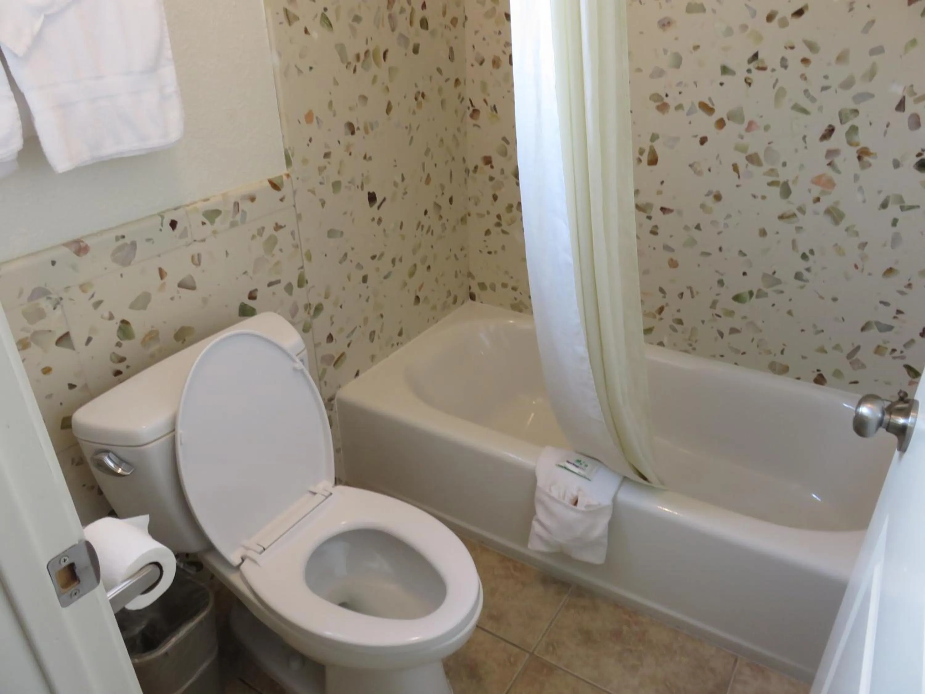 Bathroom in Economy Inn Richmond