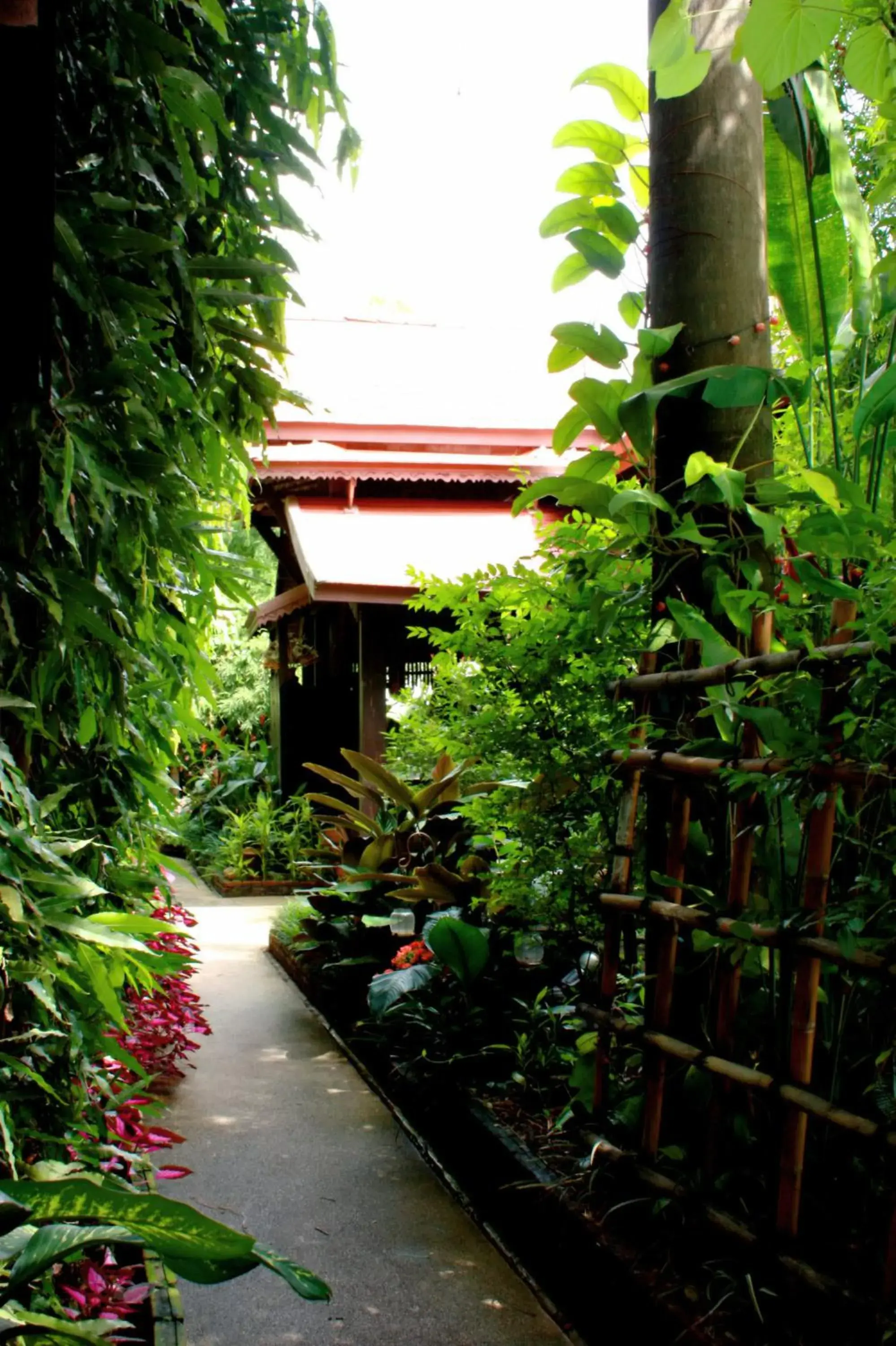 Property building in Club One Seven Gaymen Chiang Mai Property building in Club One Seven Gaymen Chiang Mai