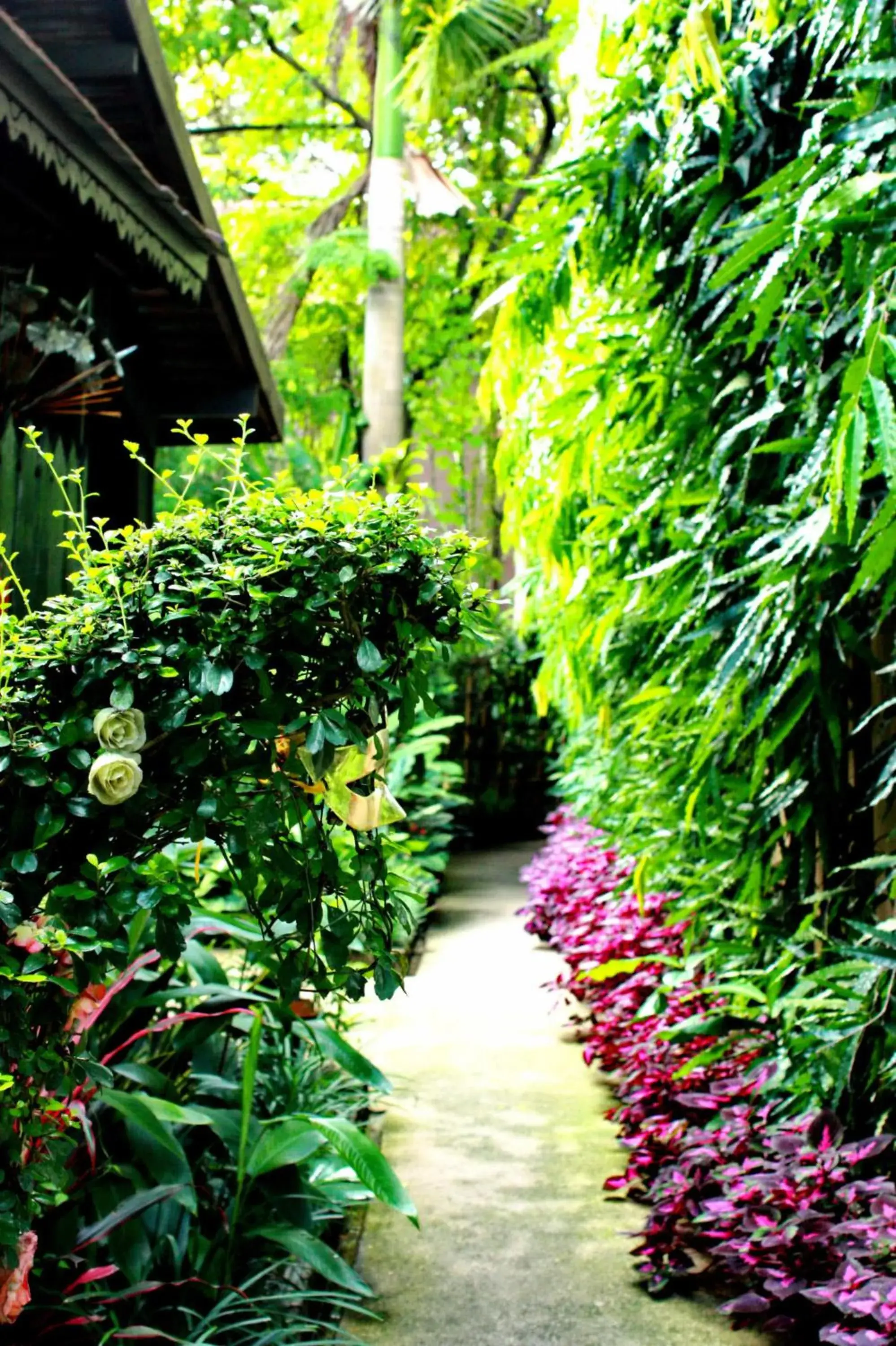 Property building in Club One Seven Gaymen Chiang Mai Property building in Club One Seven Gaymen Chiang Mai