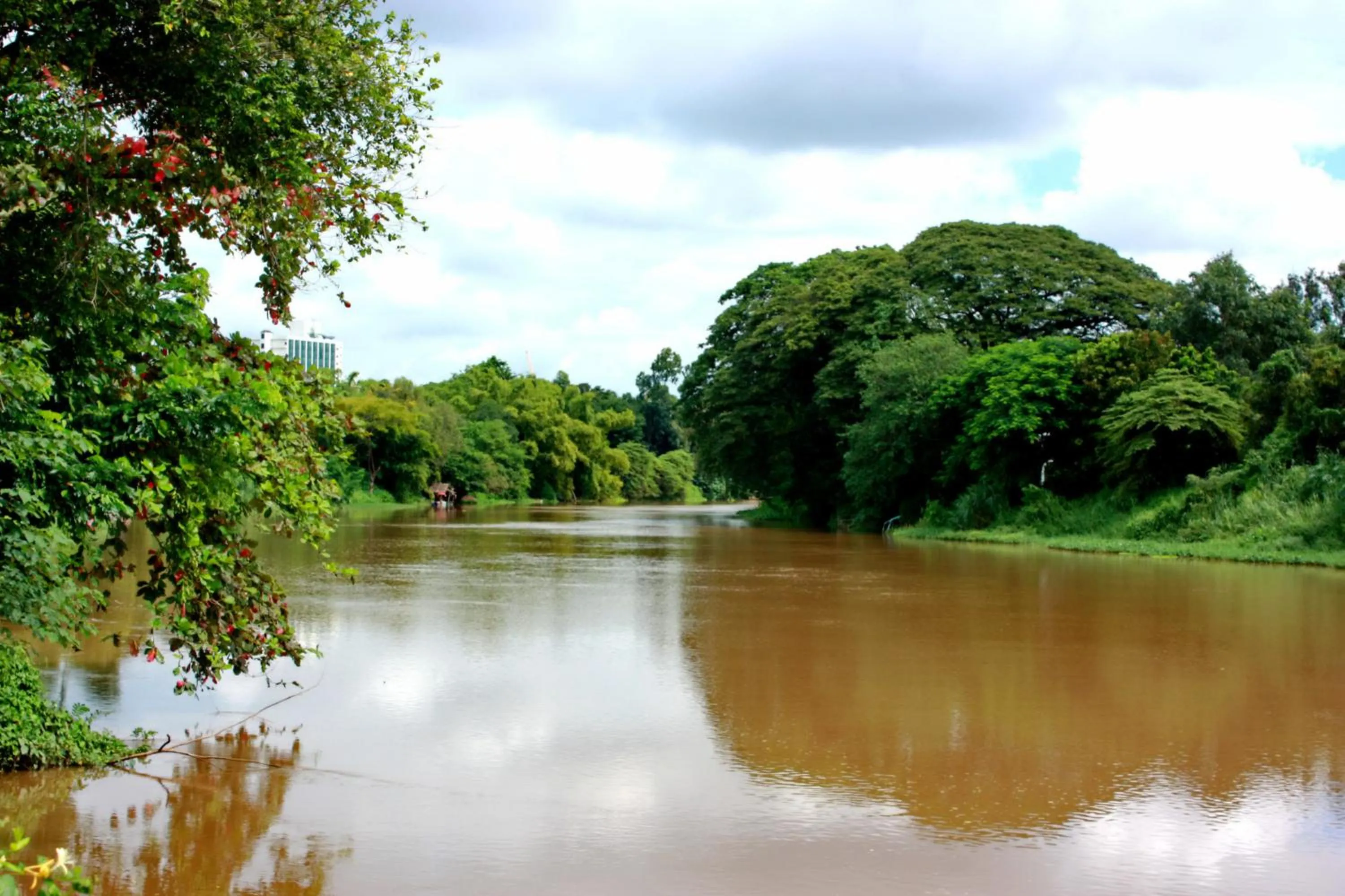 Property building in Club One Seven Gaymen Chiang Mai