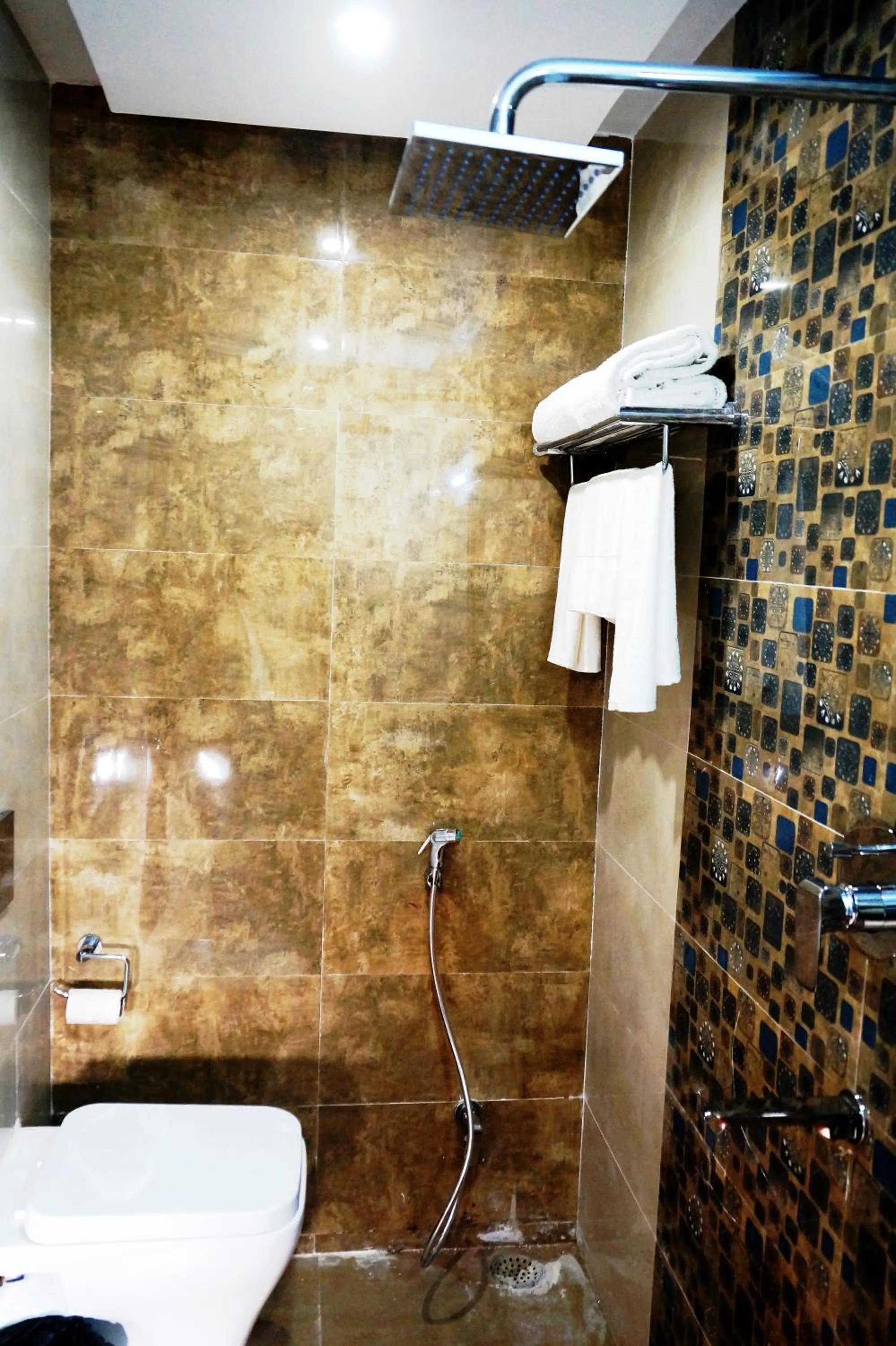 Bathroom in HOTEL SHIVOY GRAND