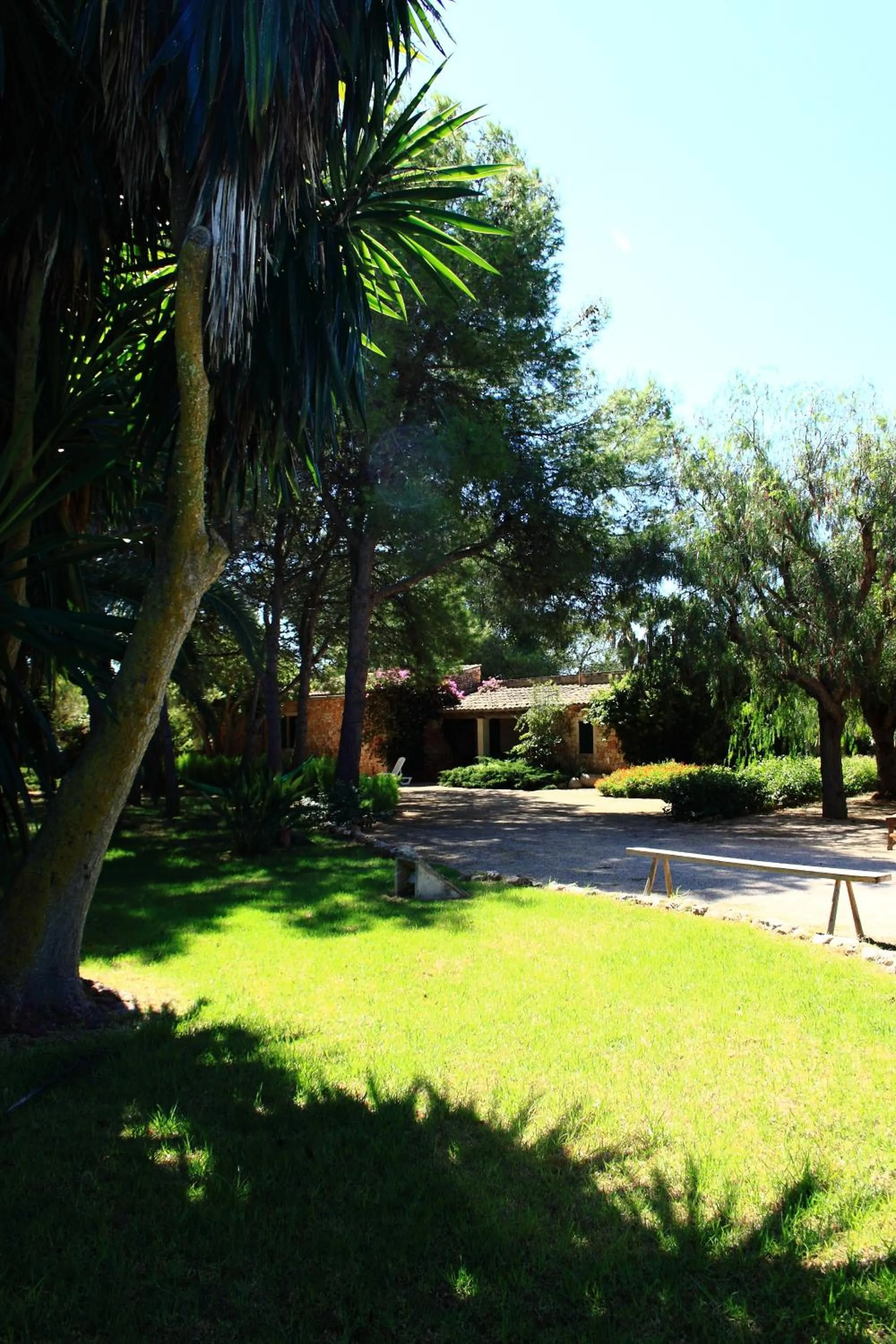Garden in Petit Hotel Es Figueral