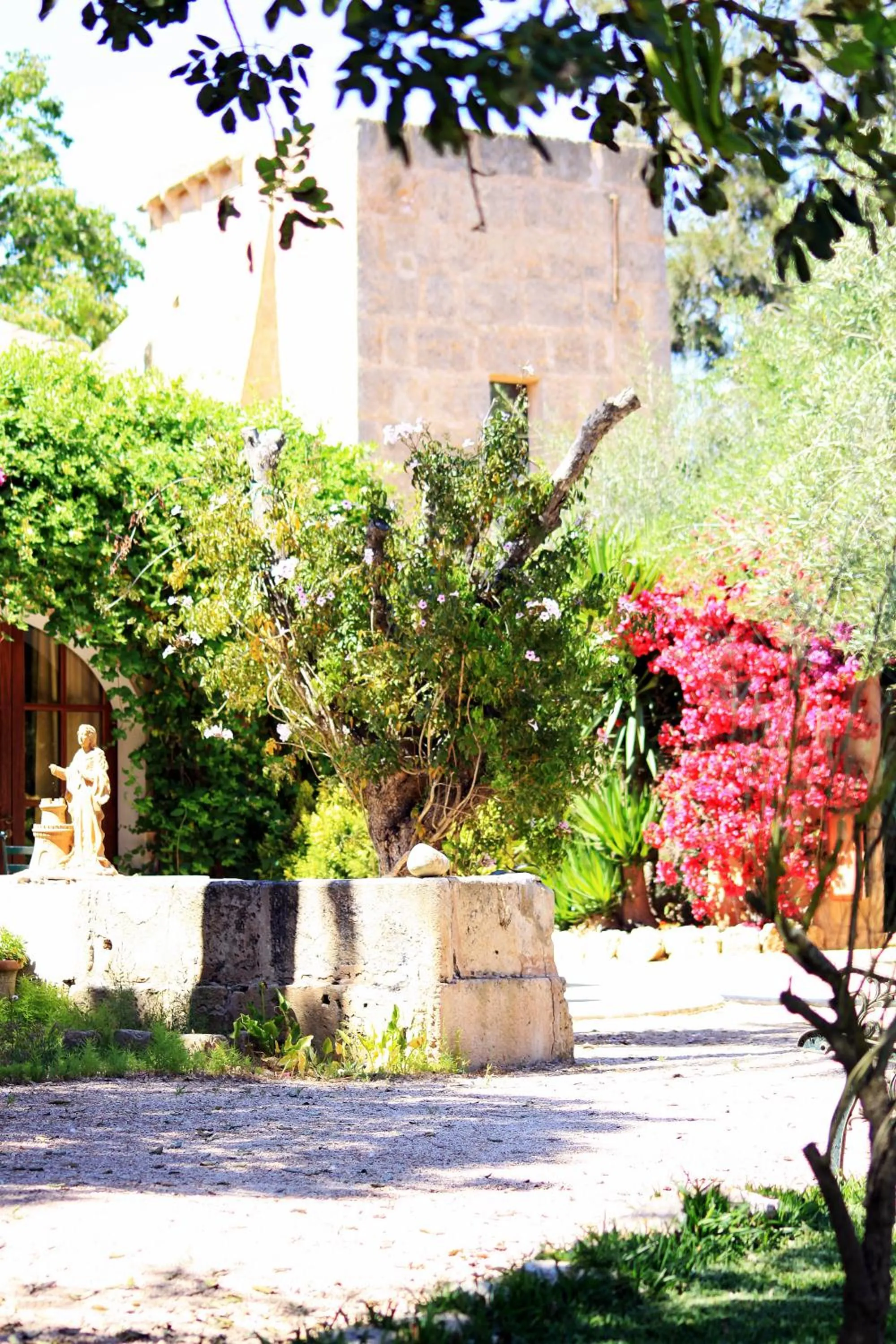 Garden in Petit Hotel Es Figueral