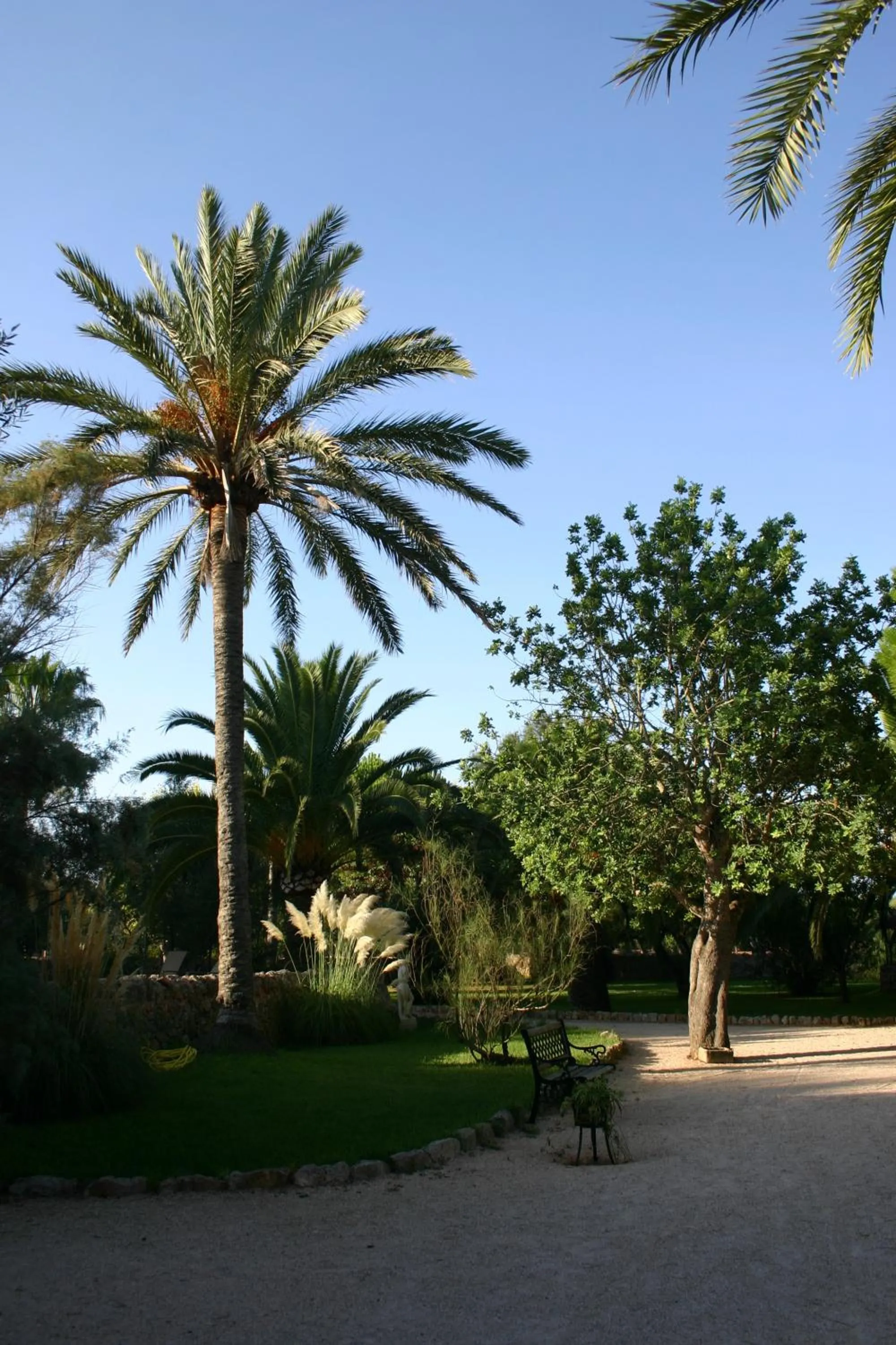 Garden in Petit Hotel Es Figueral