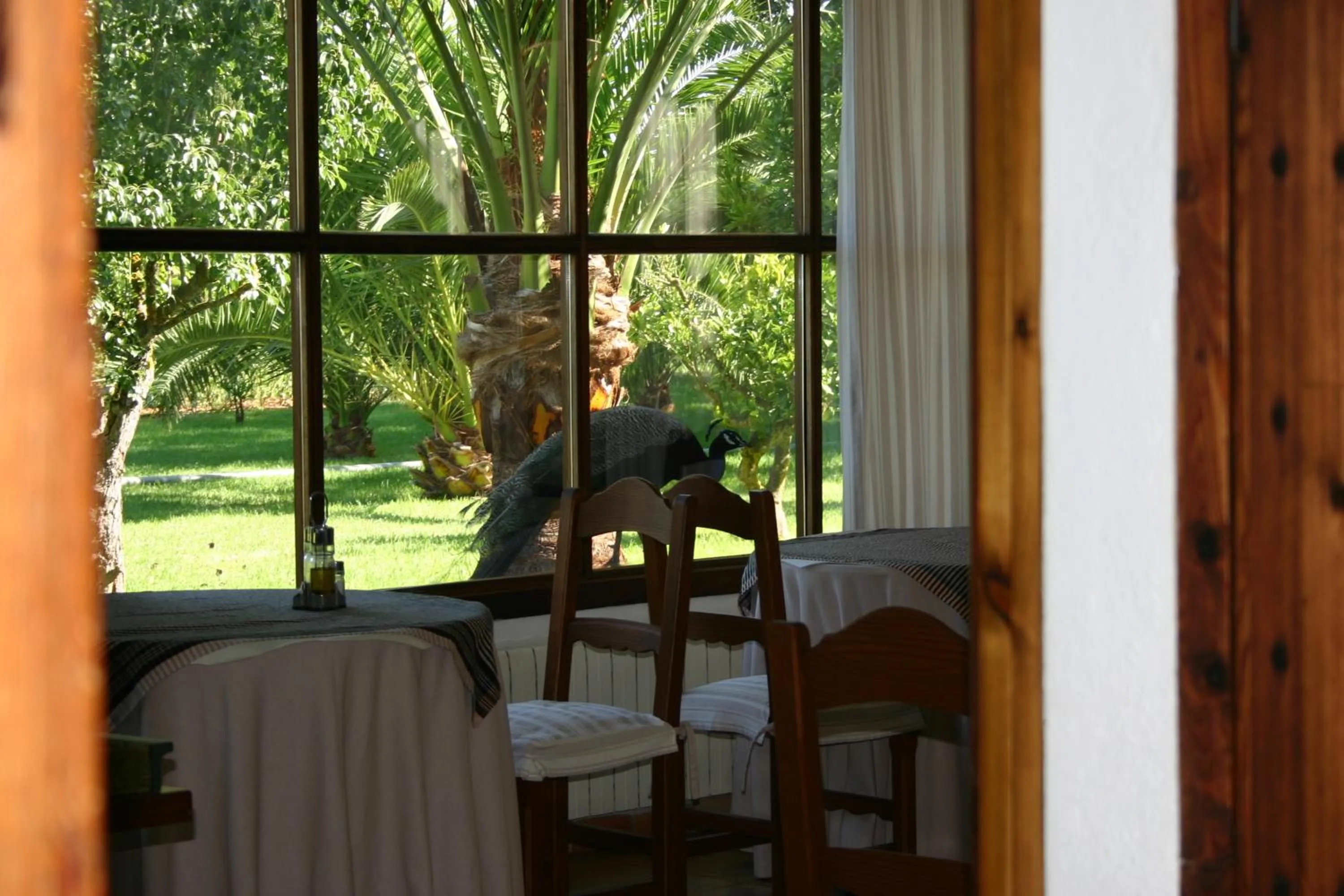 Restaurant/places to eat in Petit Hotel Es Figueral