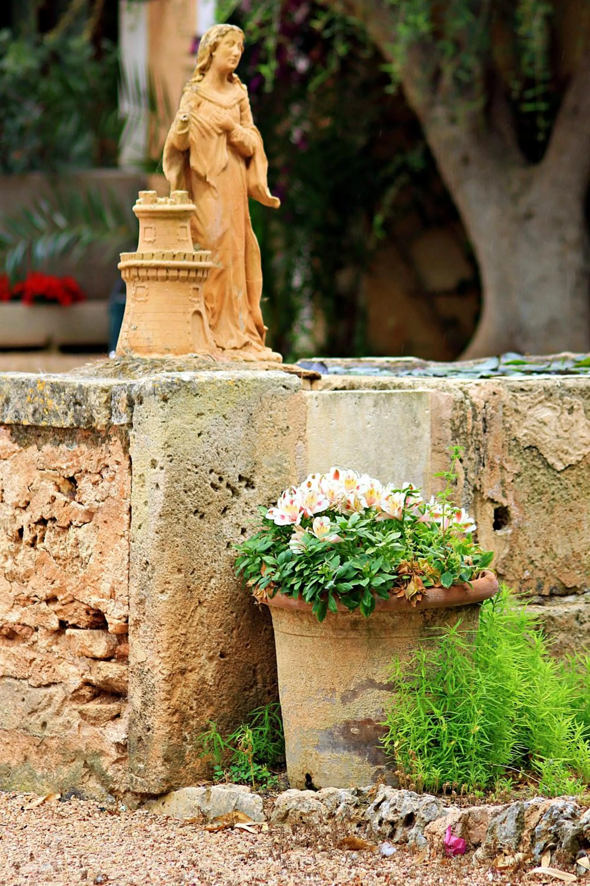 Garden in Petit Hotel Es Figueral