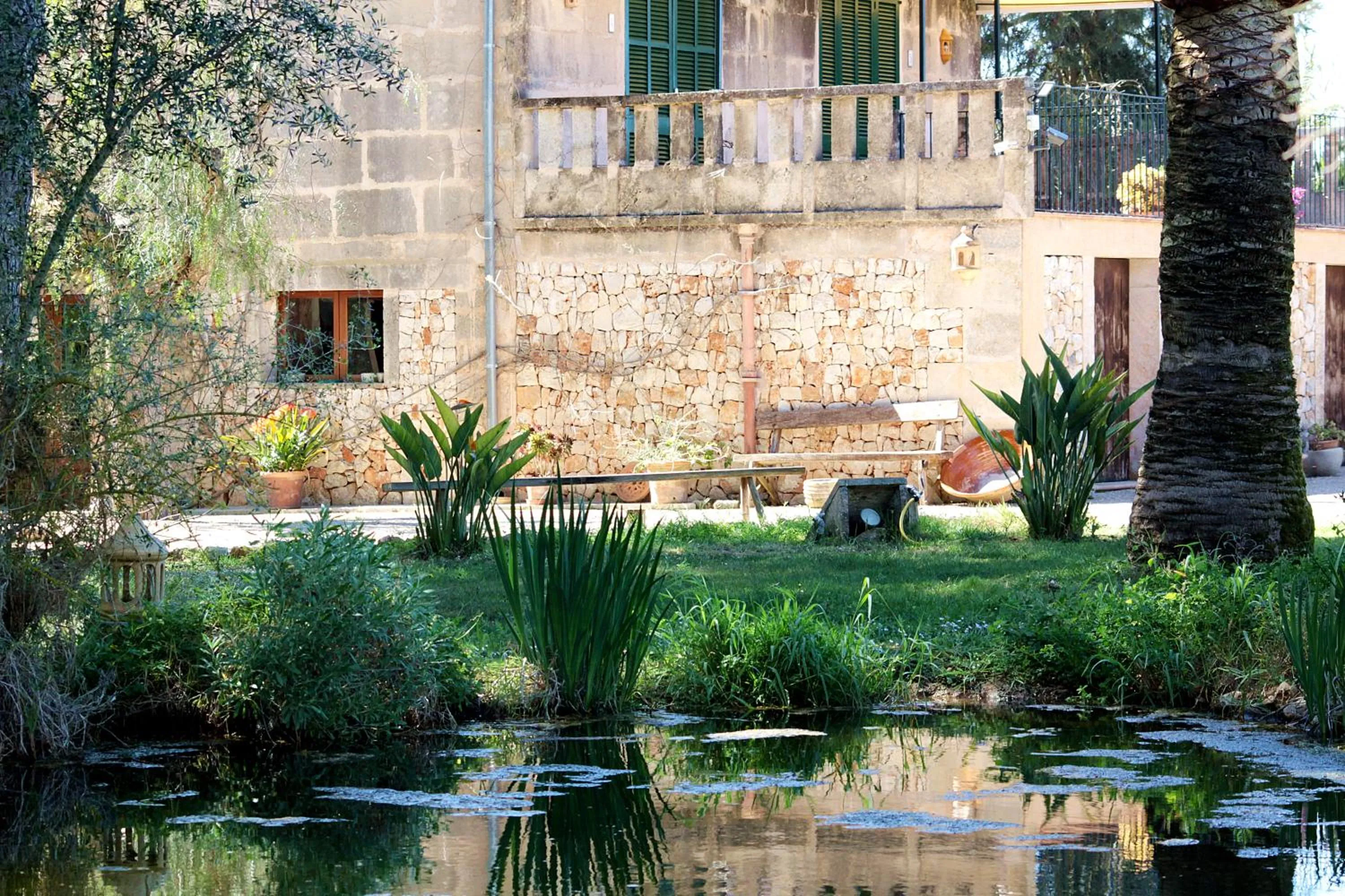 Garden in Petit Hotel Es Figueral