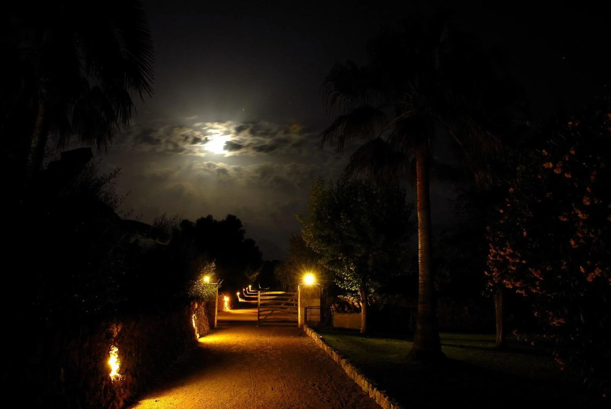 Facade/entrance in Petit Hotel Es Figueral