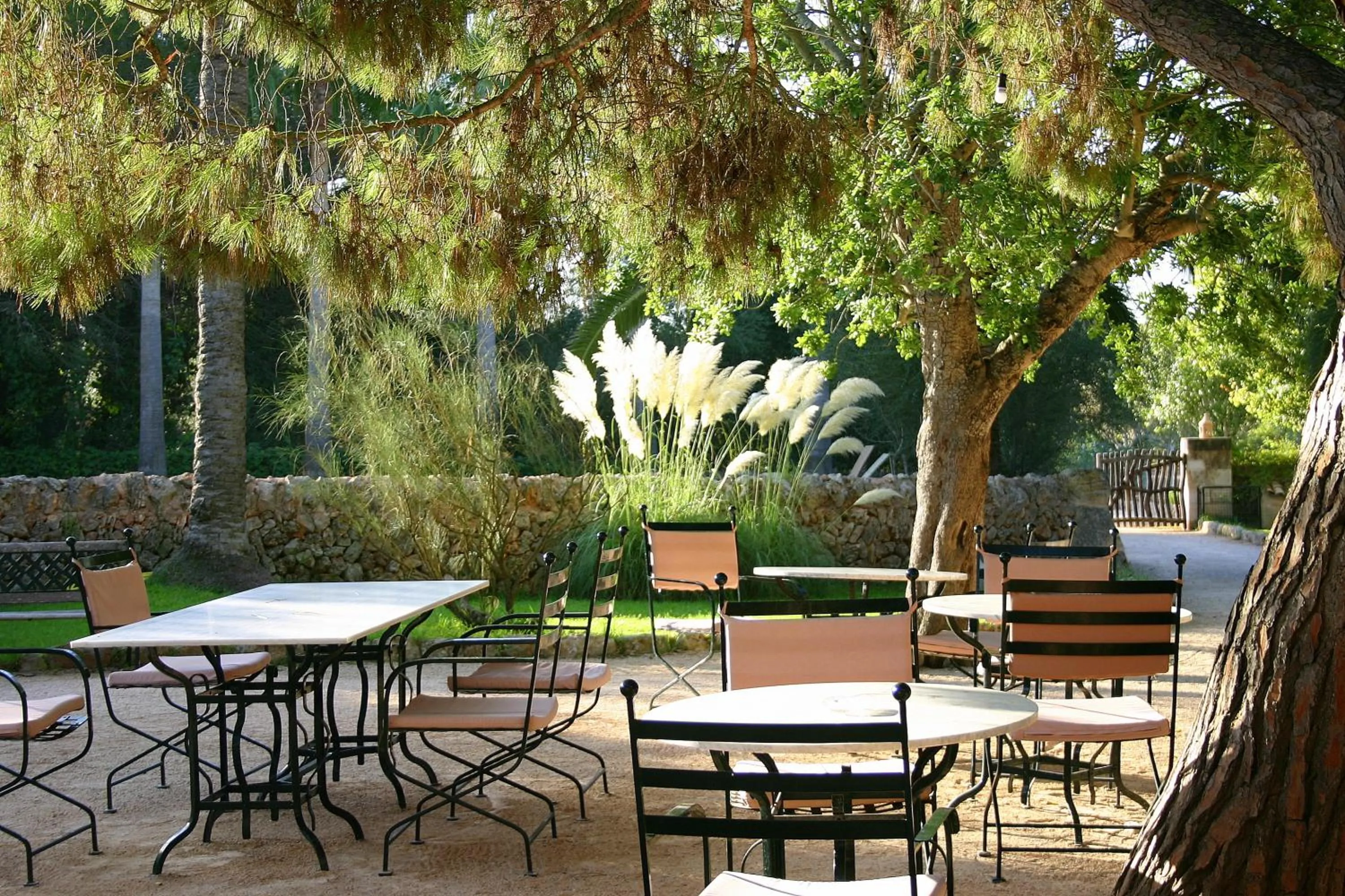 Restaurant/places to eat in Petit Hotel Es Figueral