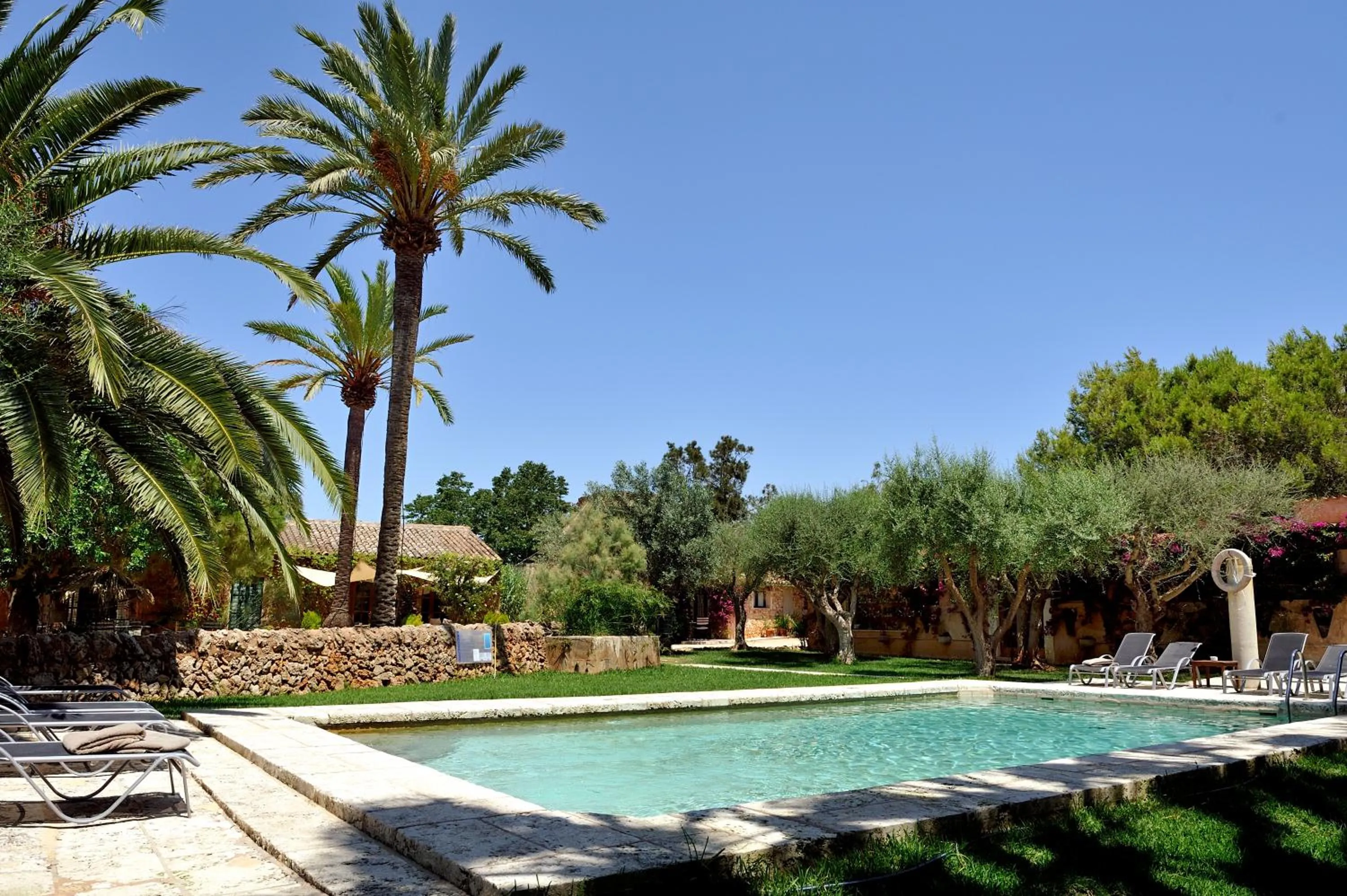 Garden in Petit Hotel Es Figueral