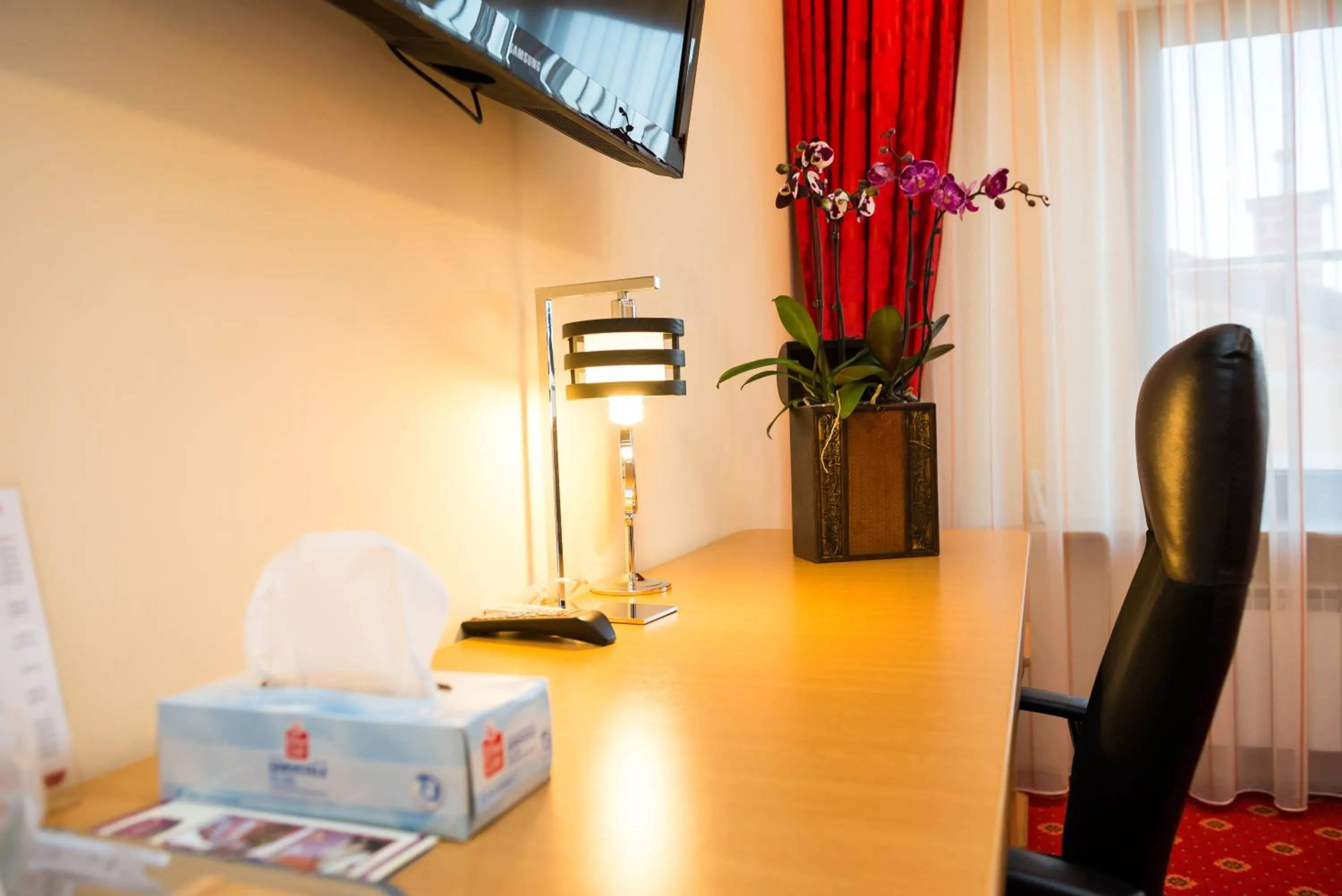 TV and multimedia in Pensiunea President