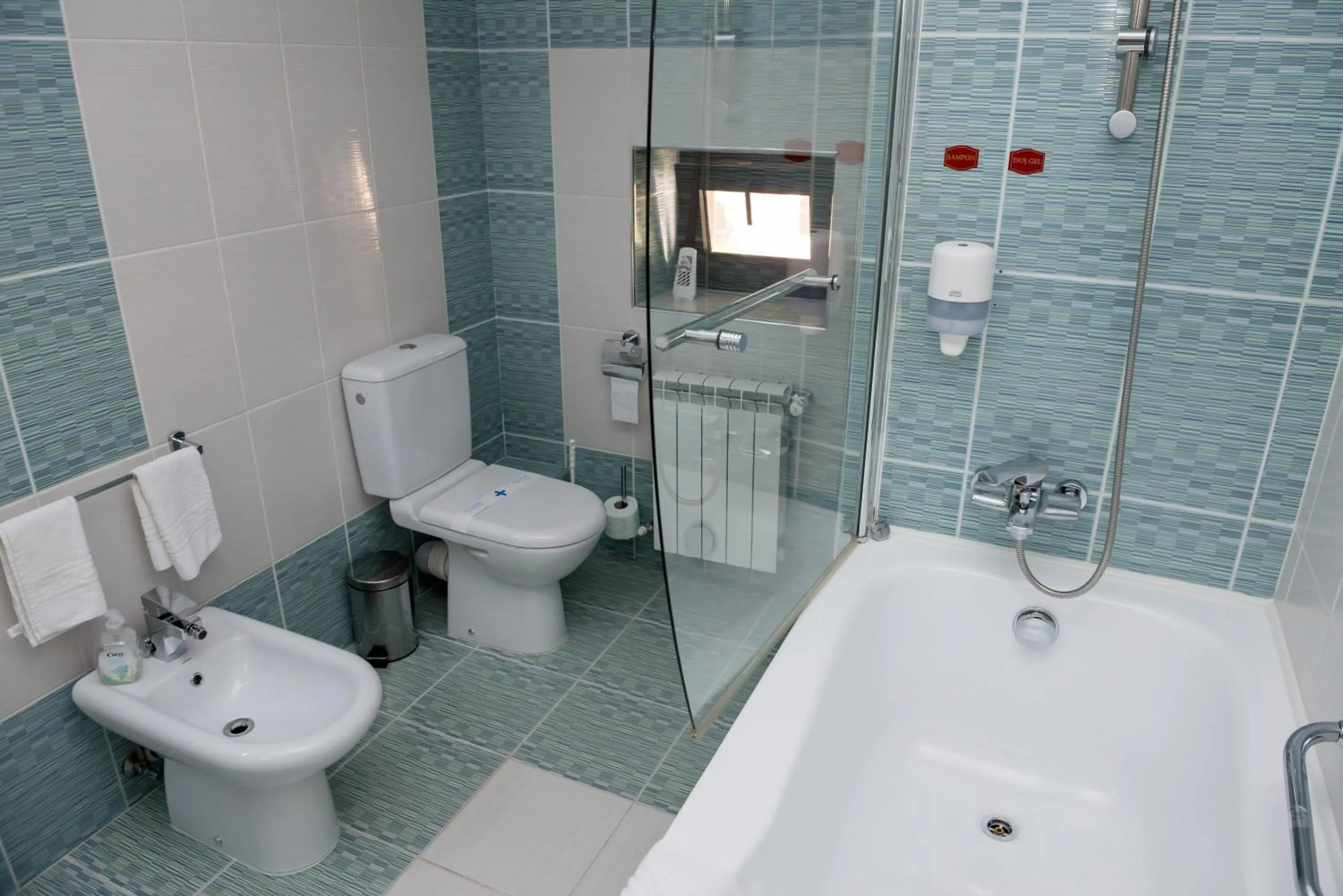 Shower in Pensiunea President