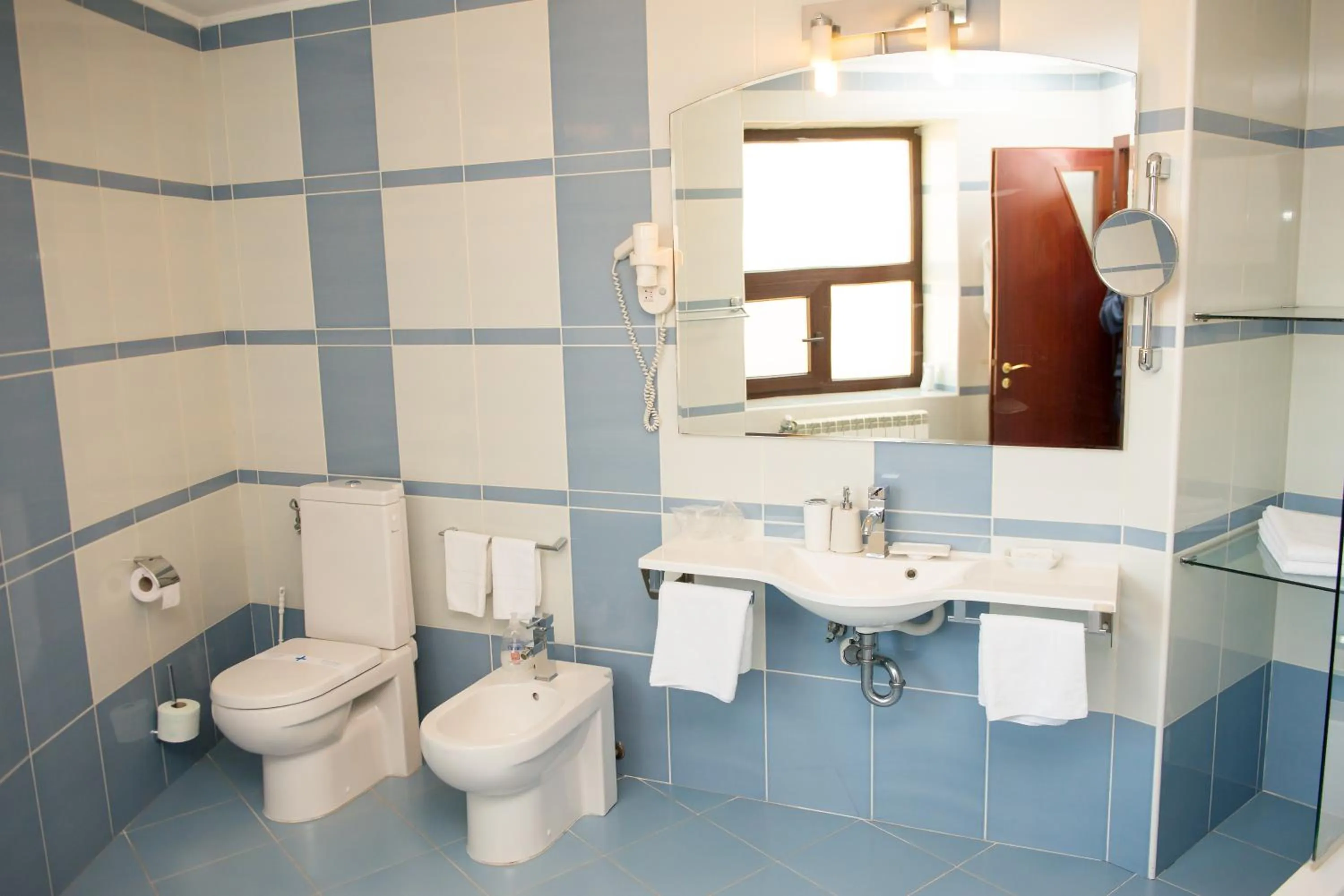 Toilet in Pensiunea President