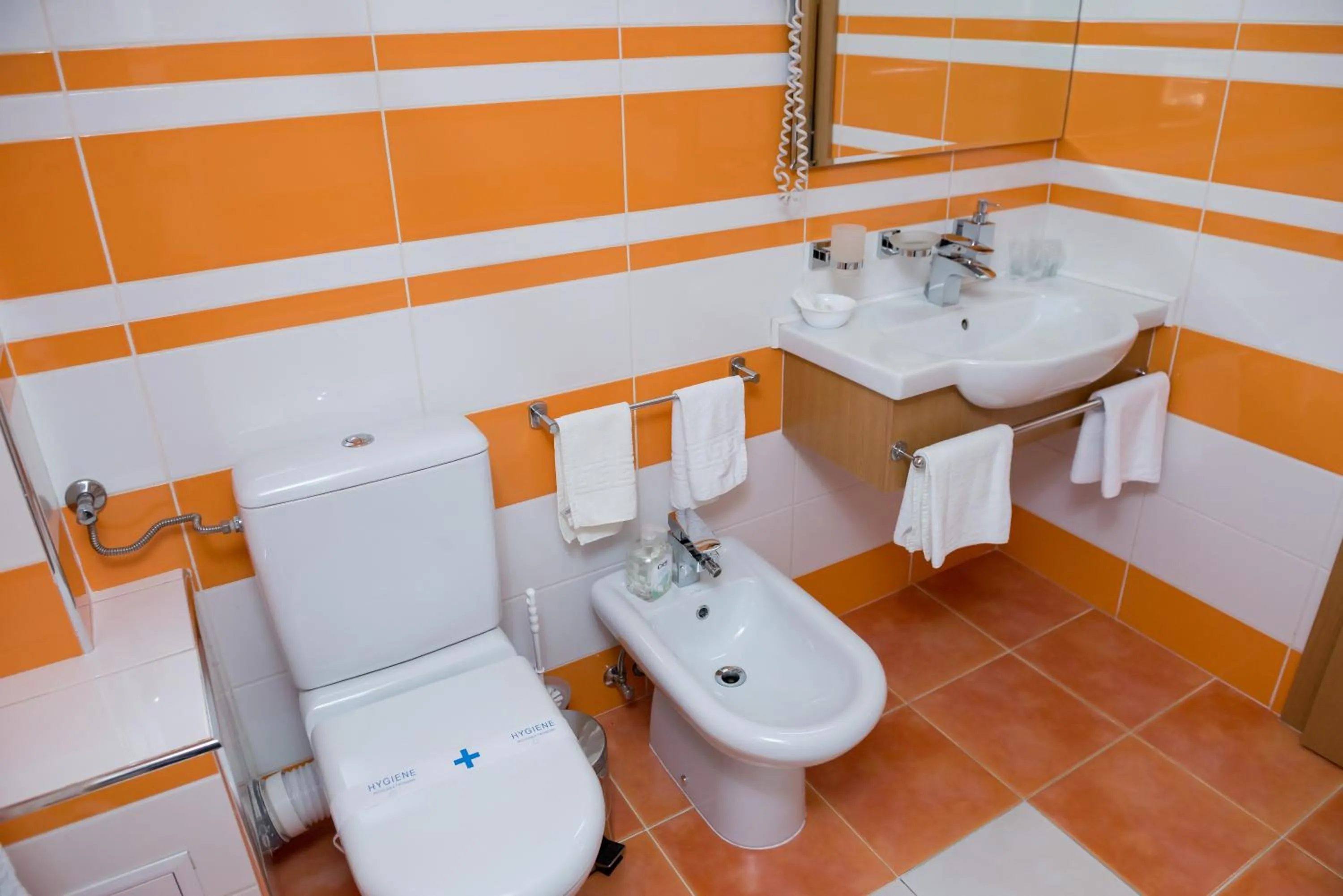 Toilet in Pensiunea President