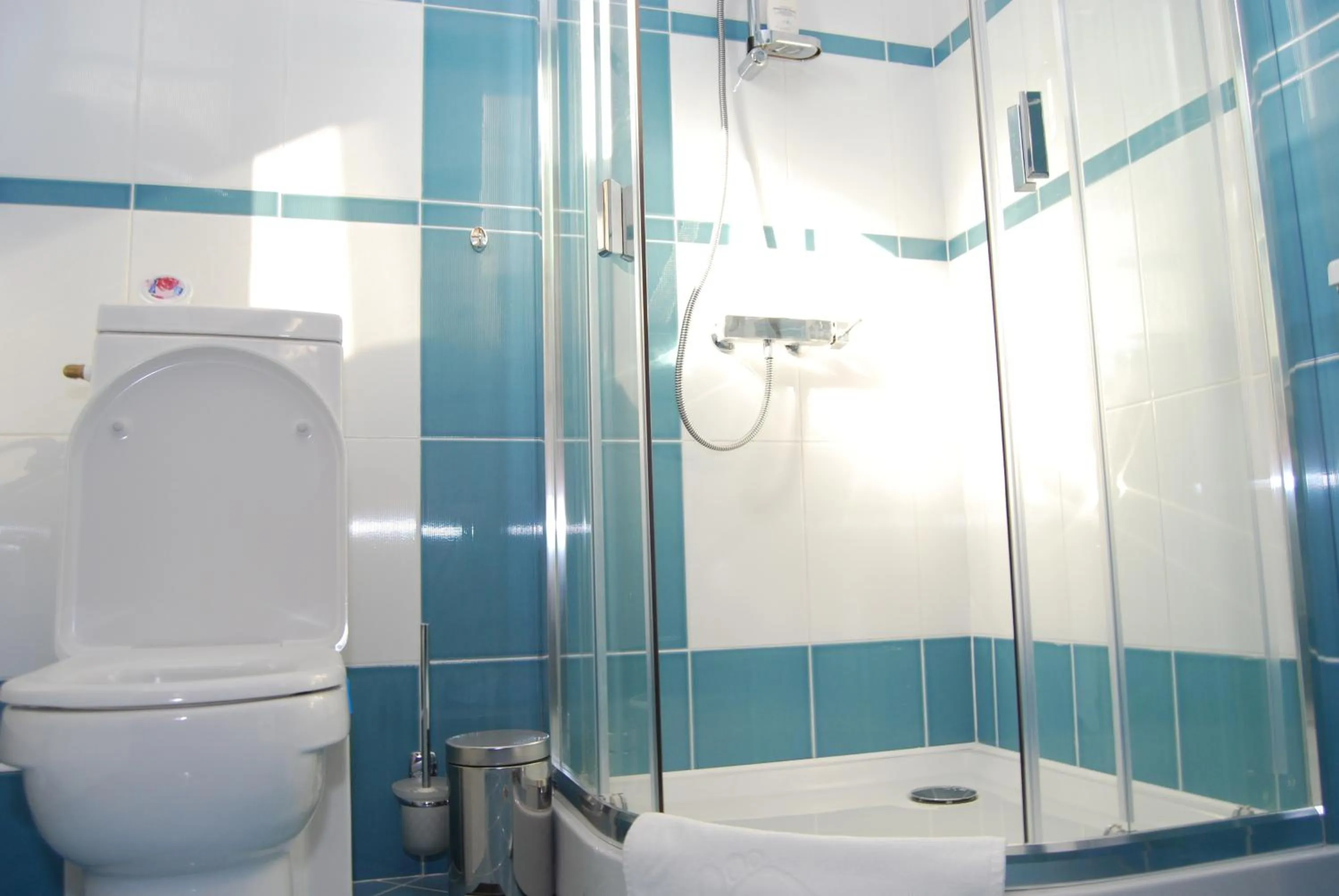 Bathroom in Pensiunea President