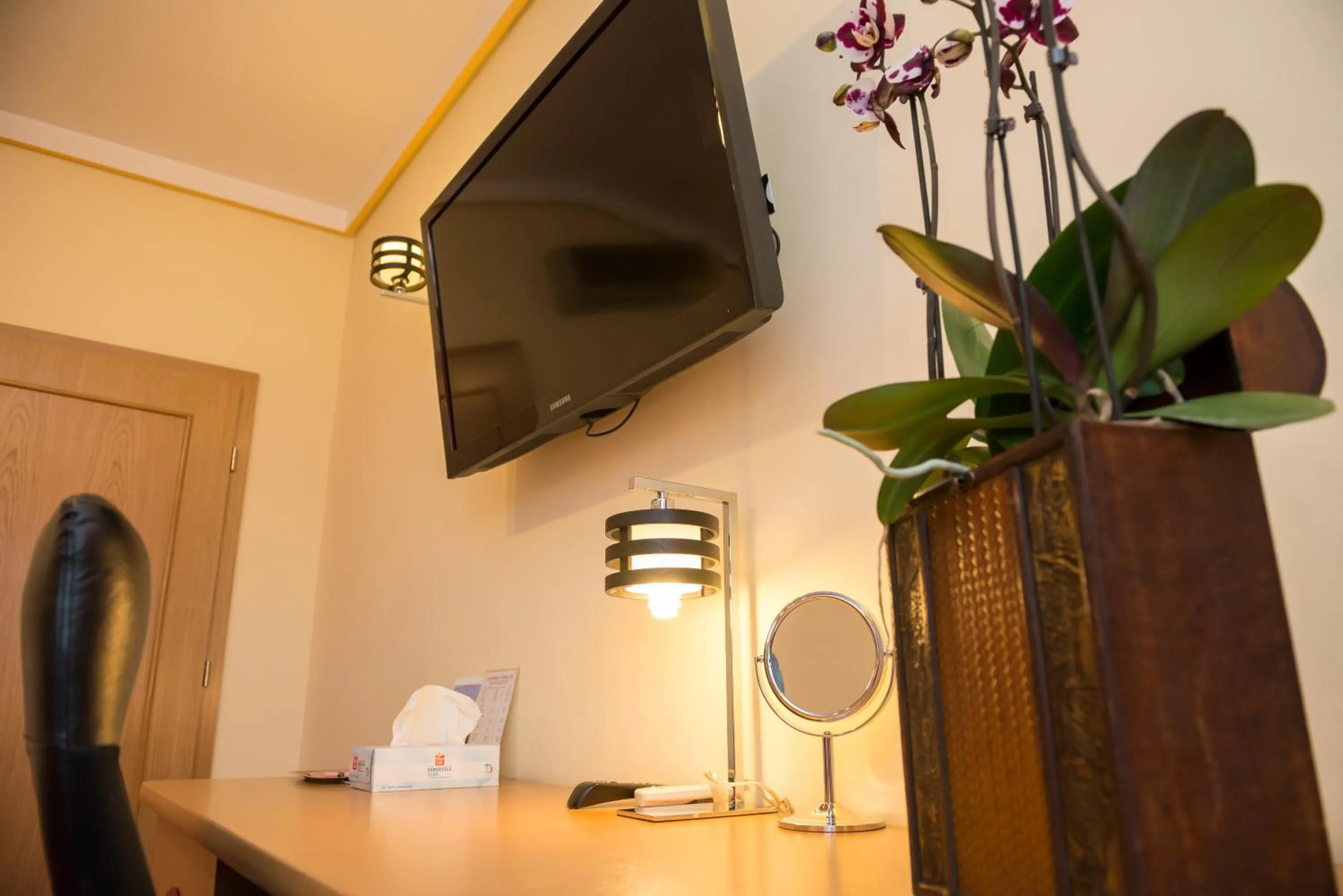 TV and multimedia in Pensiunea President