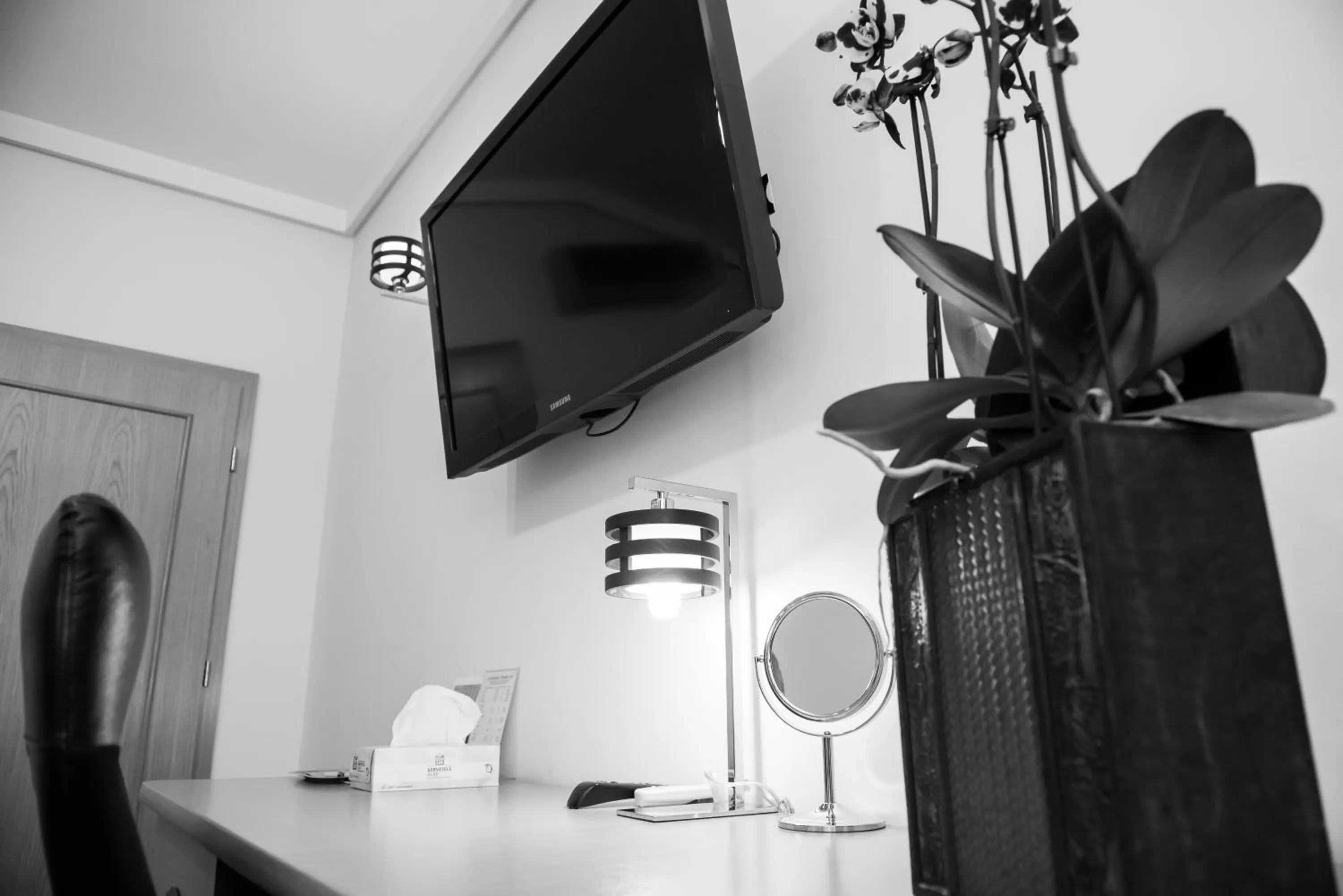 TV and multimedia in Pensiunea President