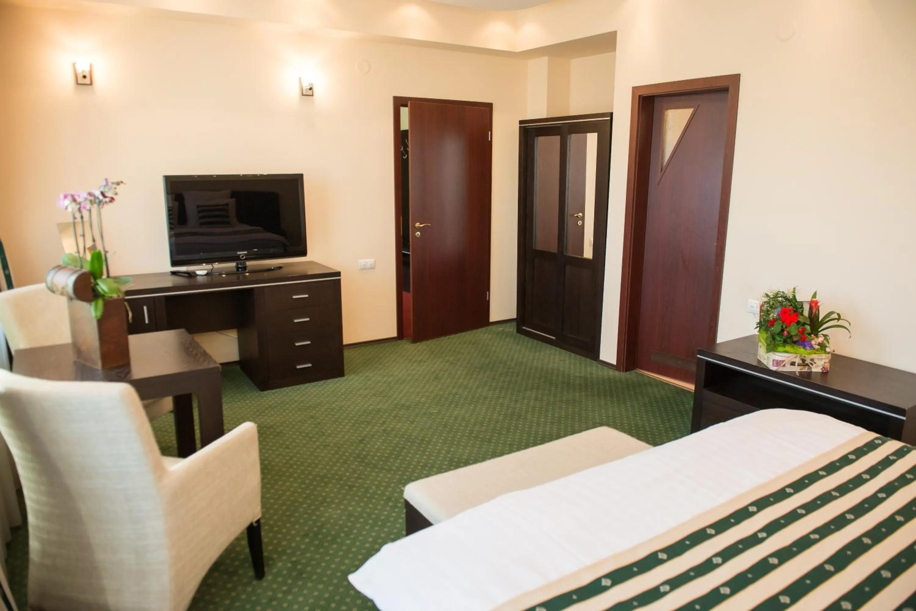 TV and multimedia, Bed in Pensiunea President