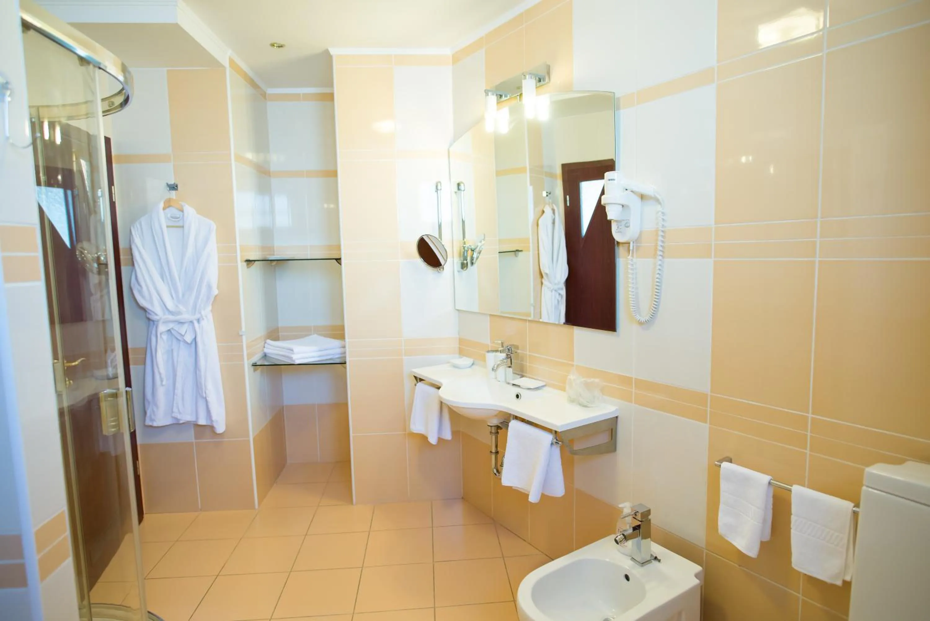 Bathroom in Pensiunea President