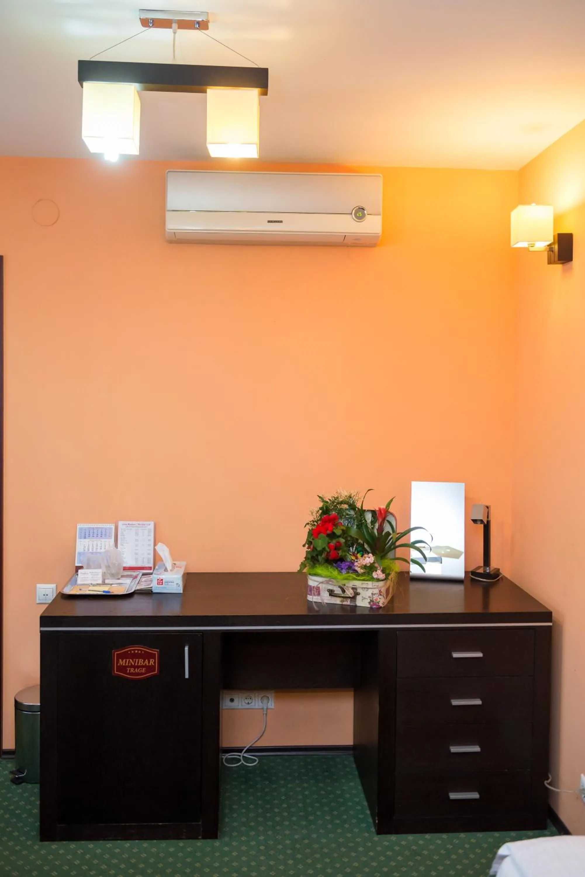 Area and facilities in Pensiunea President