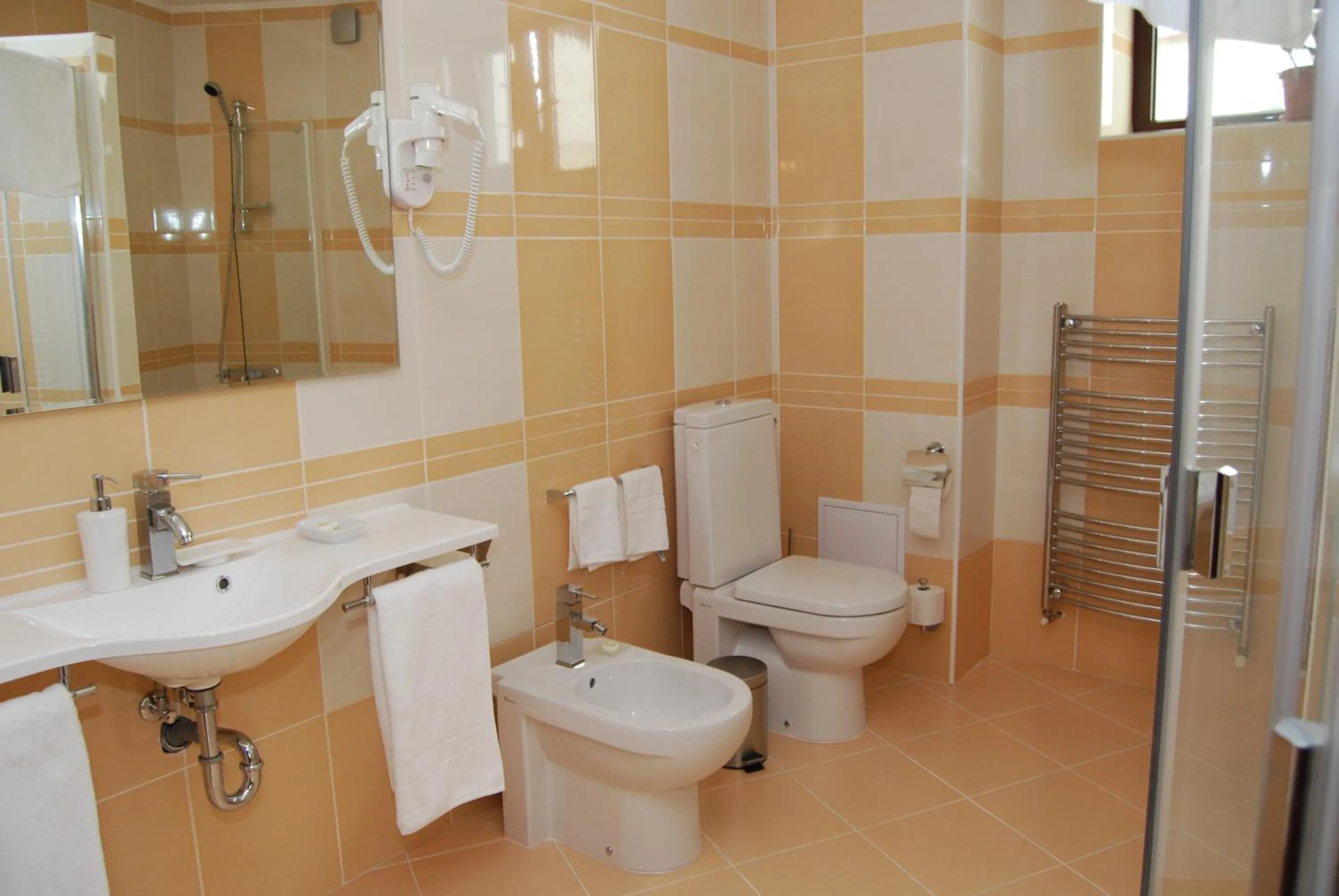 Bathroom in Pensiunea President