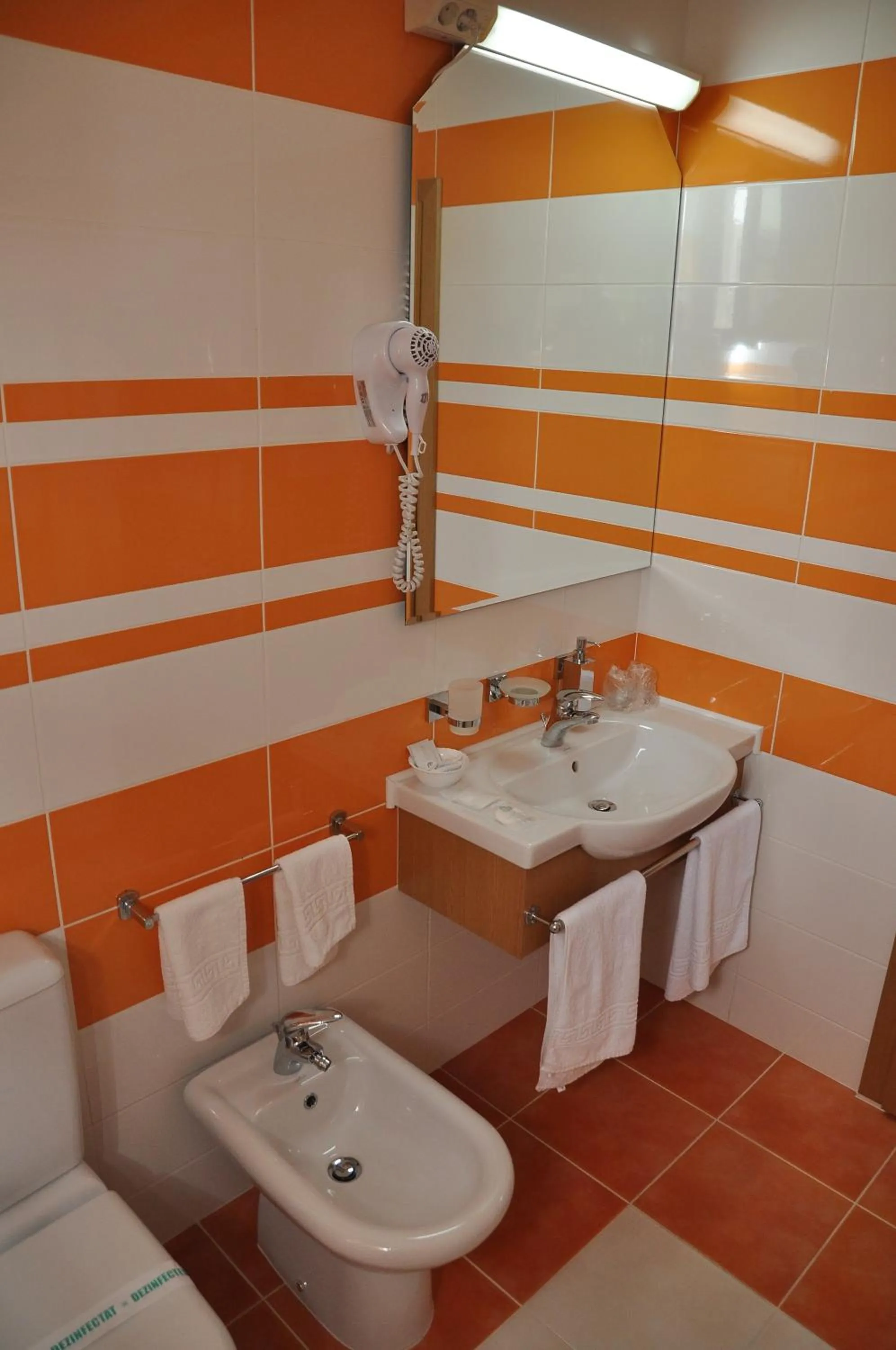 Bathroom in Pensiunea President