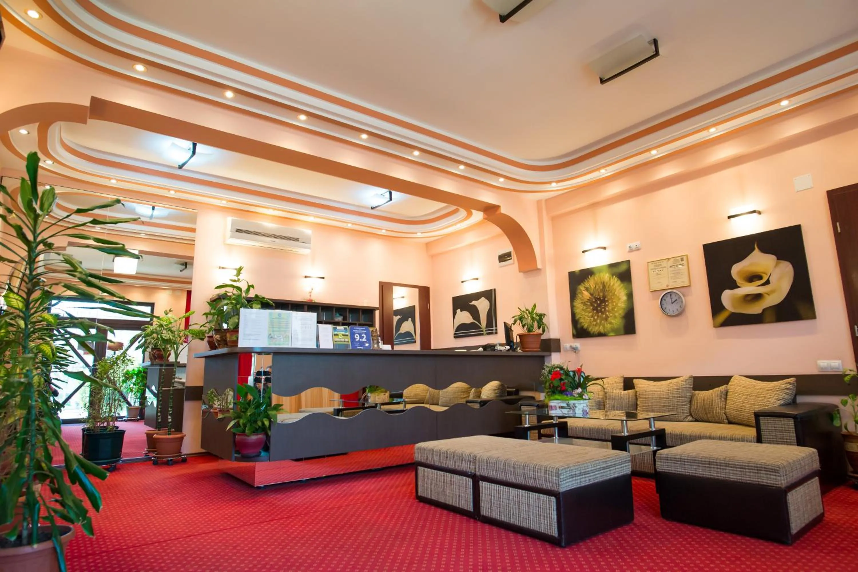 Lobby or reception in Pensiunea President