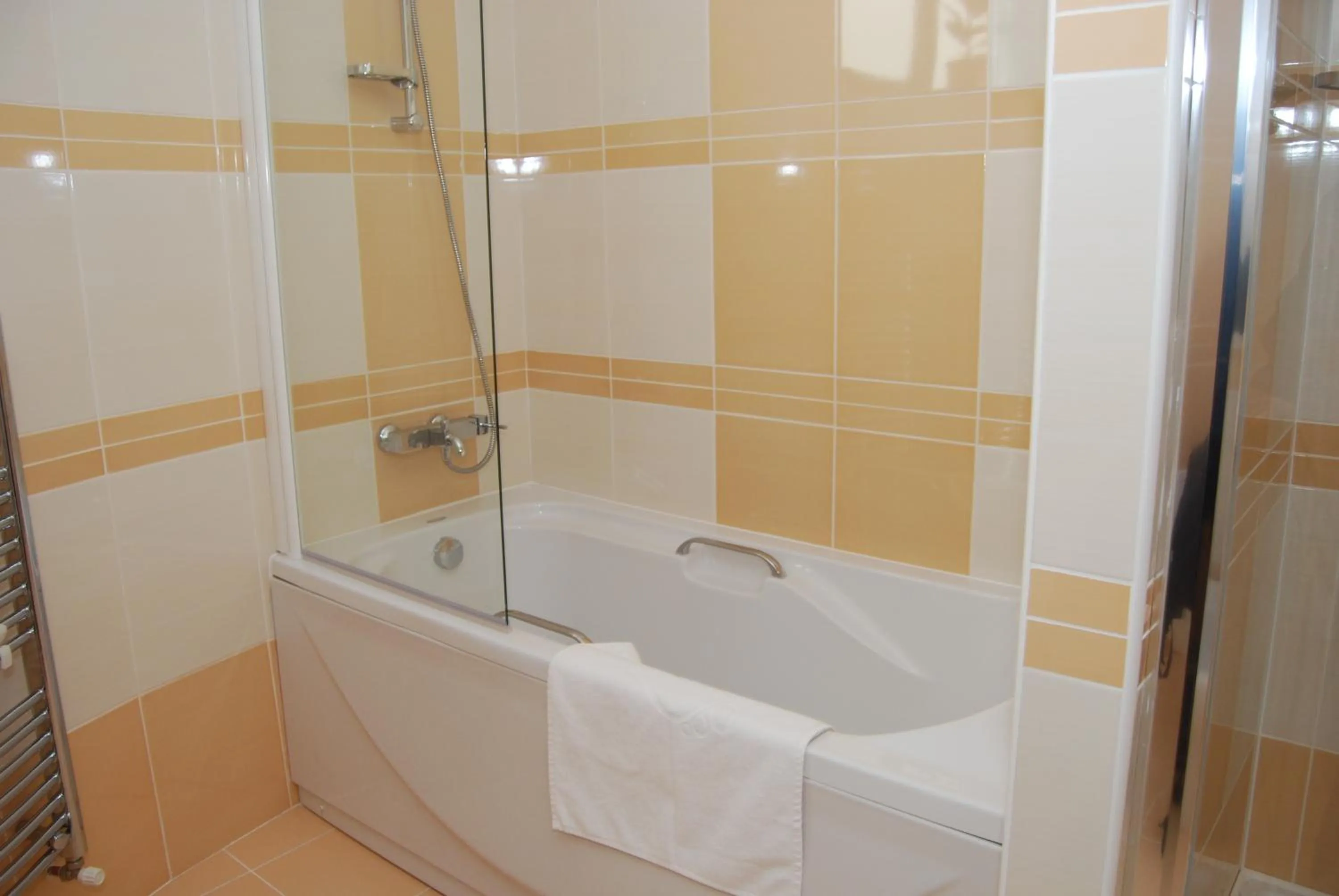 Bathroom in Pensiunea President