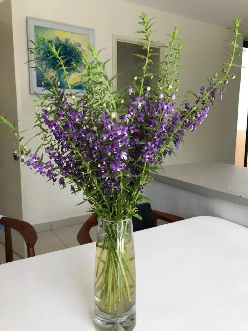 Villas at Oceanami Resort Villas at Oceanami Resort